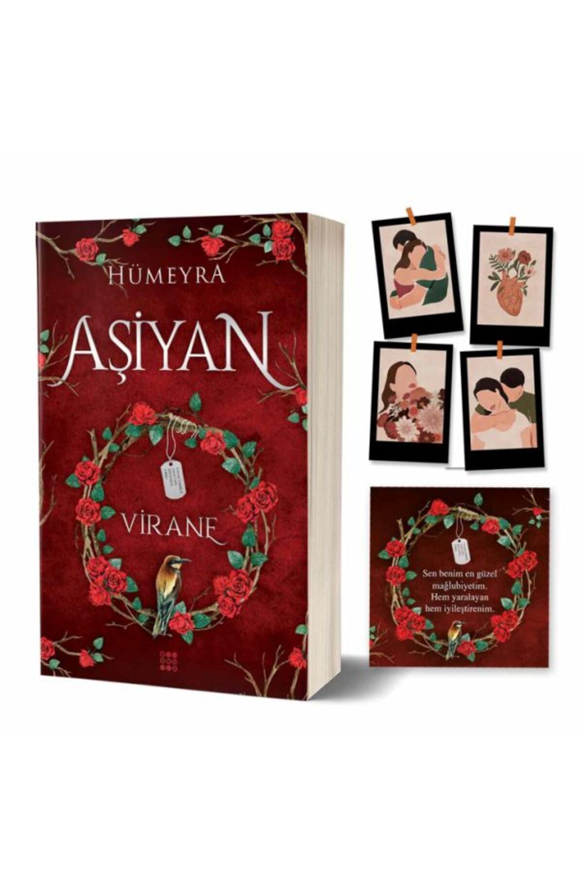 Destek Yayınları Aşiyan 1 - Virane