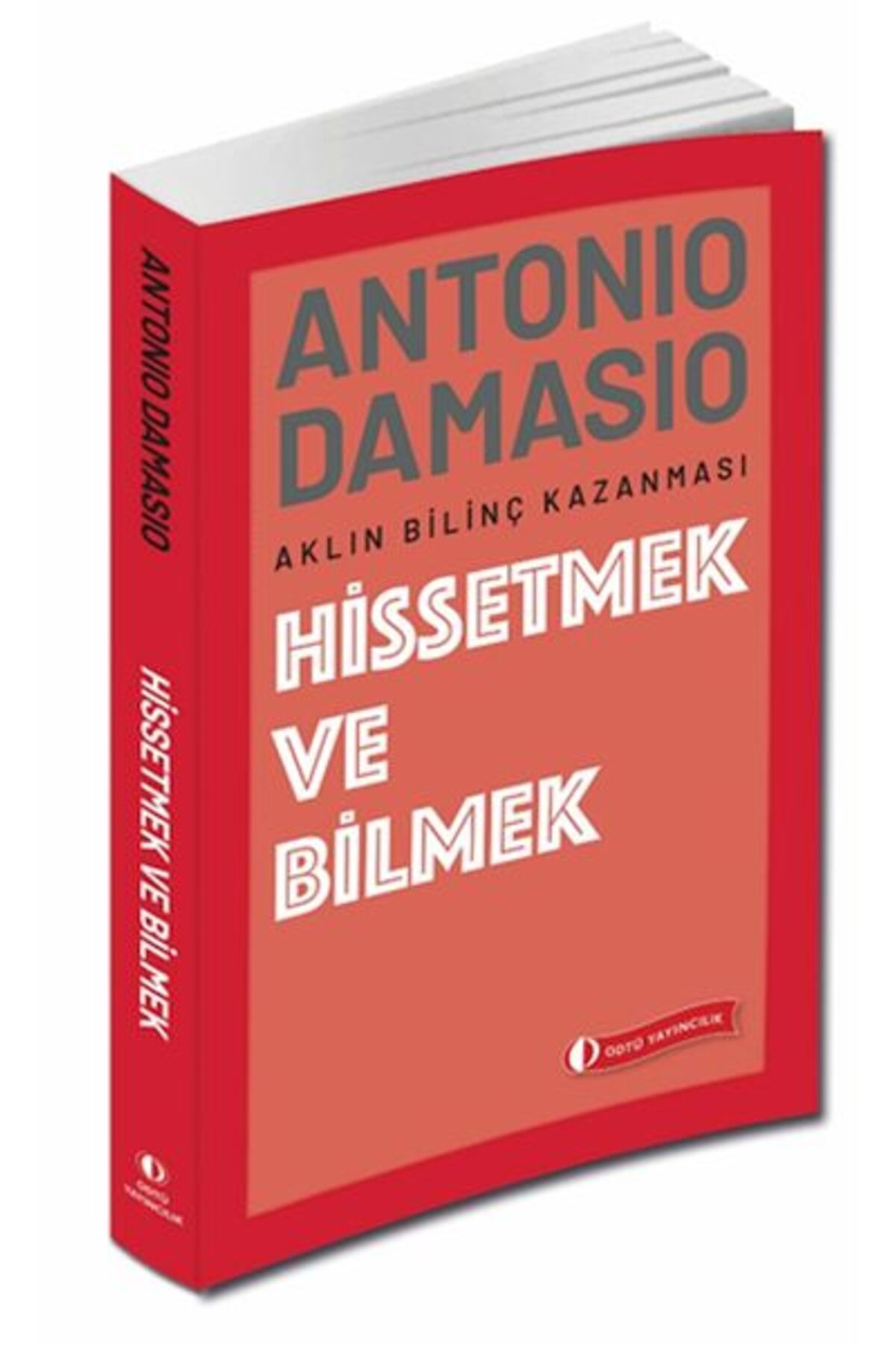 Destek Yayınları Hissetmek ve Bilmek