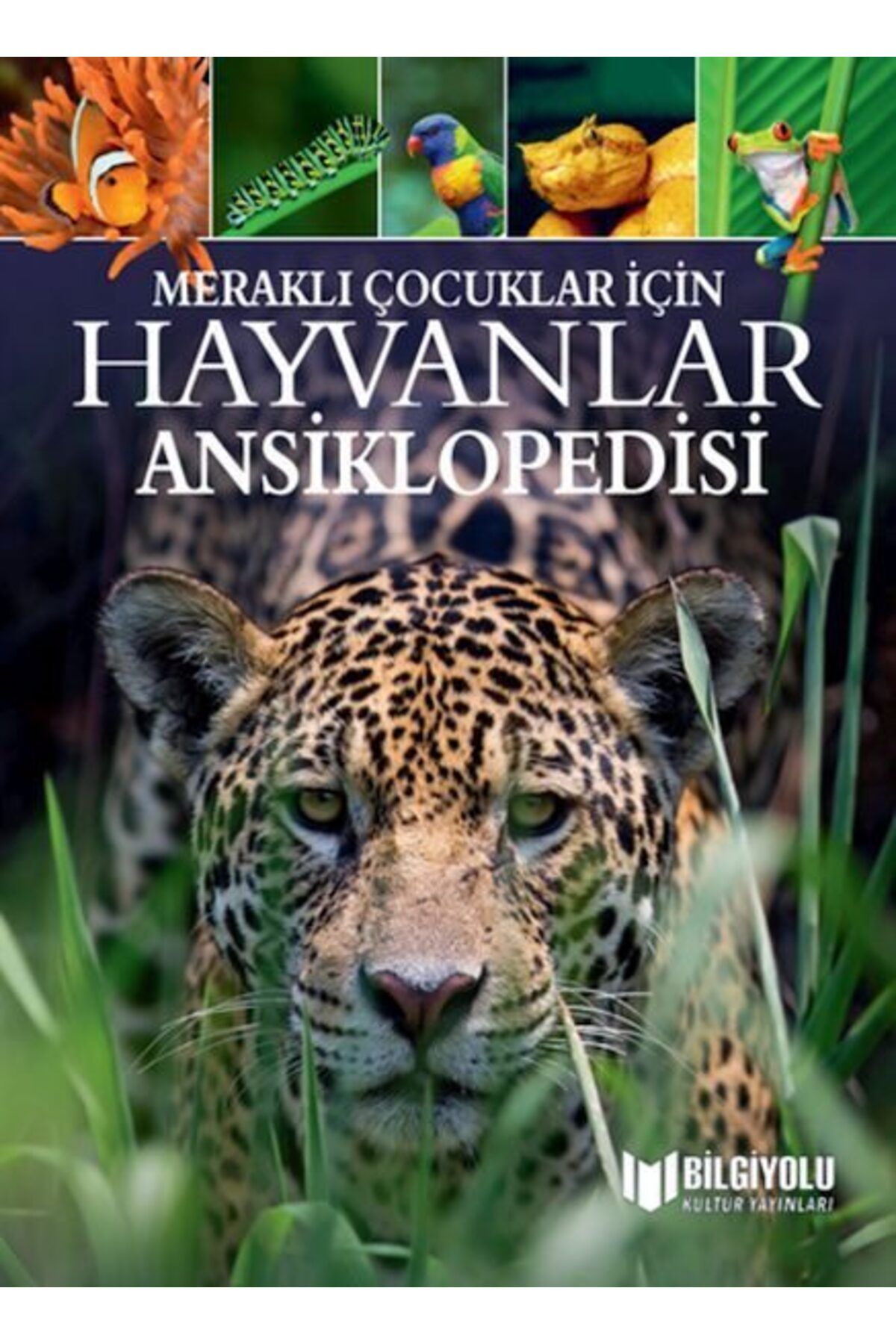 Destek Yayınları Meraklı Çocuklar İçin Hayvanlar Ansiklopedisi