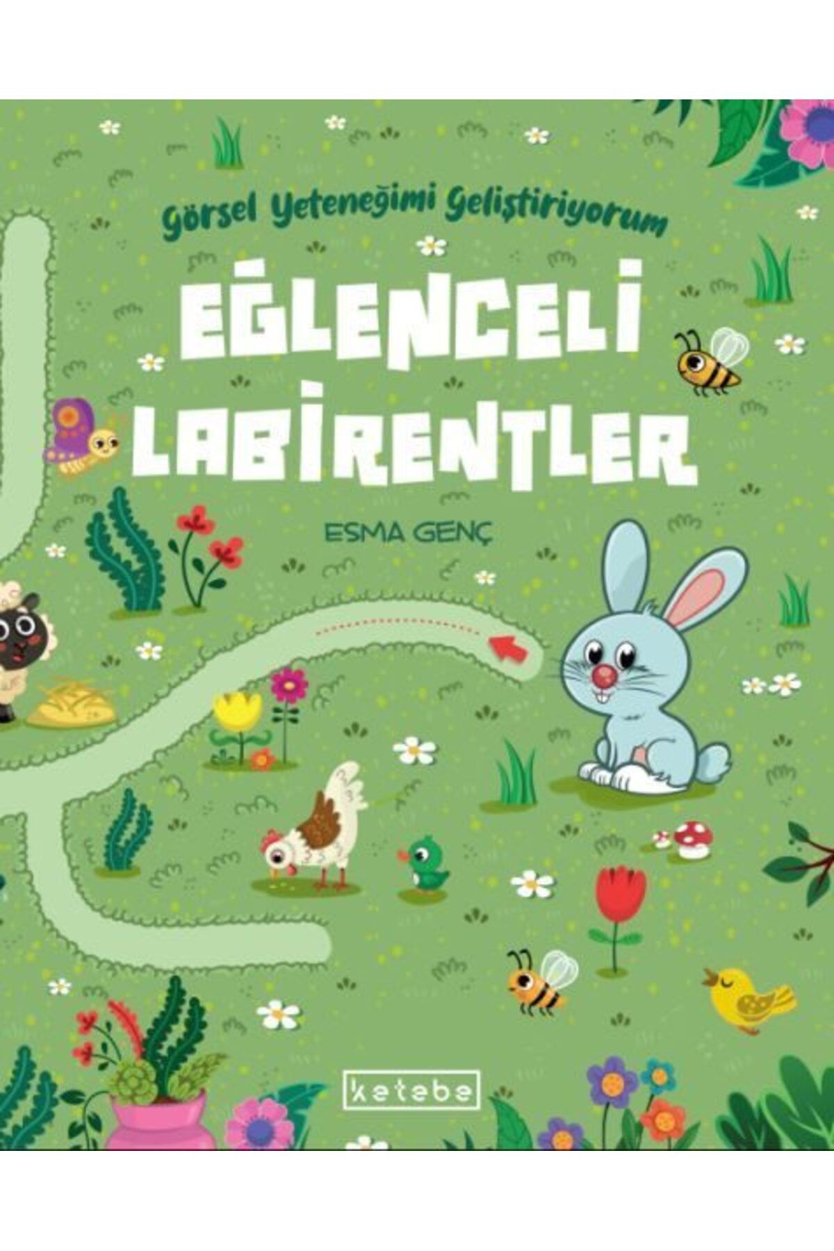 Ketebe Yayınları Eğlenceli Labirentler Görsel Yeteneğimi Geliştiriyorum
