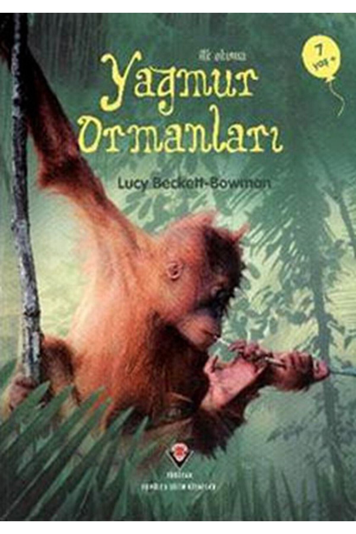 Destek Yayınları İlk Okuma - Yağmur Ormanları