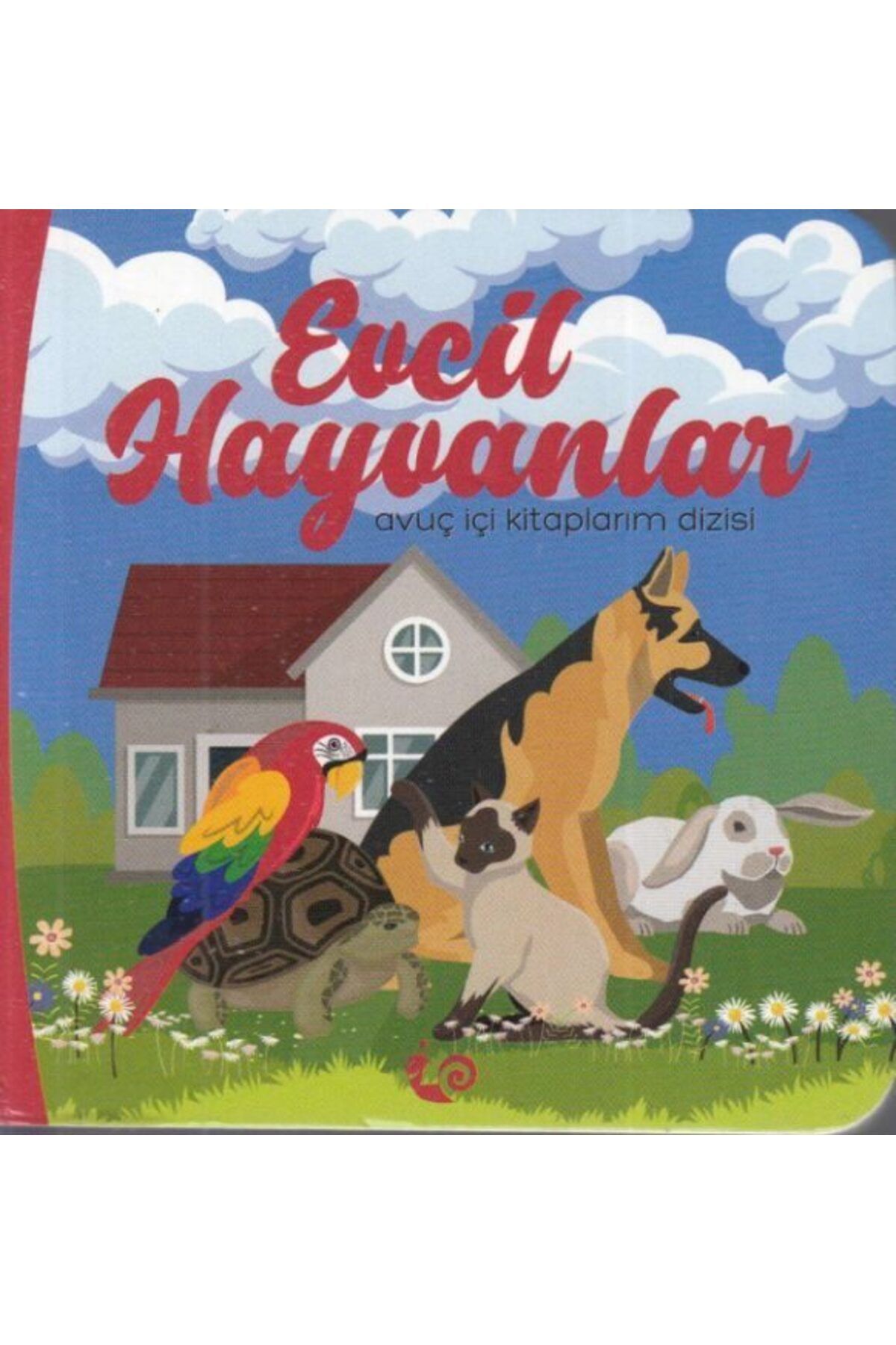 Karatay Yayınları Evcil Hayvanlar Avuç İçi Kitaplarım Dizisi