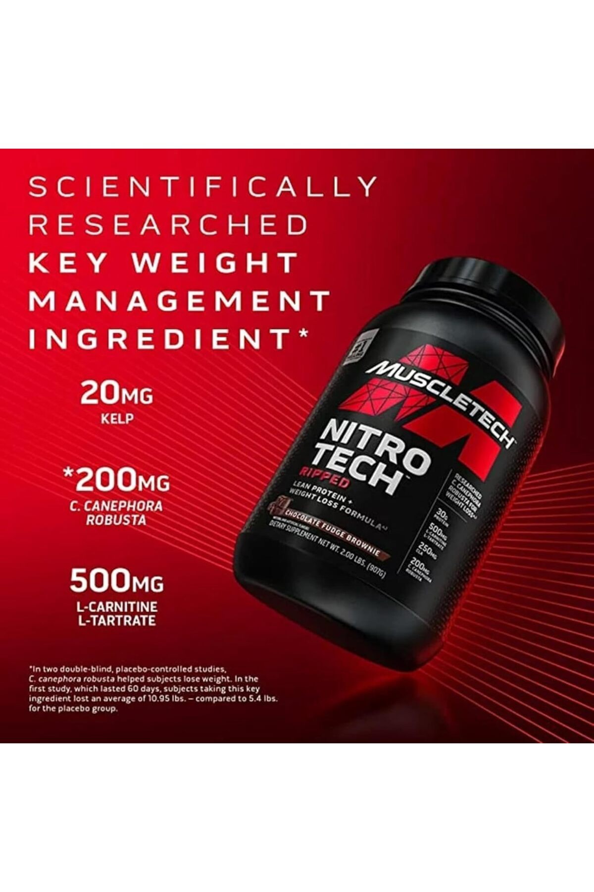 MUSCLETECH-Nitro Tech Ripped Chocolate Fudge Brownie 2lbs (907 g) US (RB) 8