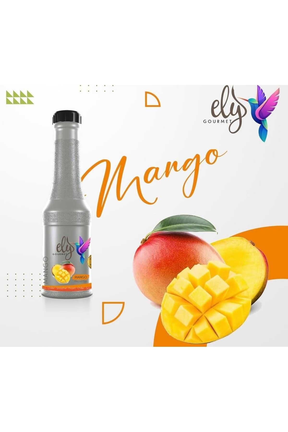 Ely Mango Püresi 1000 gr