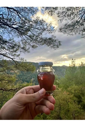 Balkovan Doğal Organik Tescilli Yayla Kestane Balı 450gr.