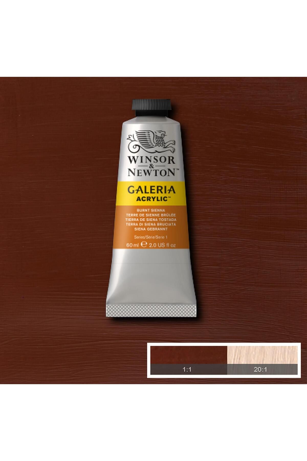 Winsor Newton Winsor & Newton Galeria Akrilik Boya 60ml Burnt Sienna 074
