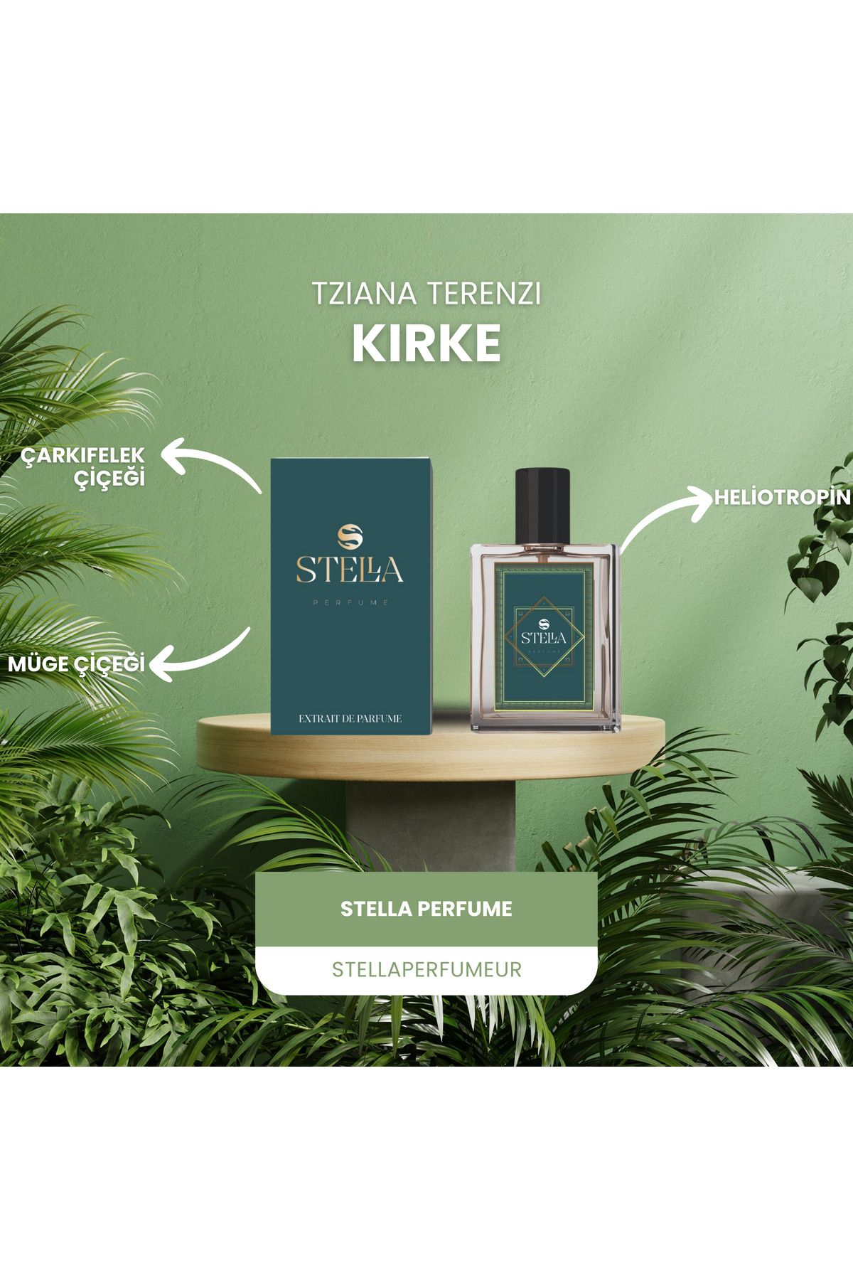 stella perfume TZIANA TERENZI KİRKE ÇARKIFELEK ÇİÇEĞİ MÜGE ÇİÇEĞİ HELİOTROPİN UNİSEX PARFÜM 50 ML