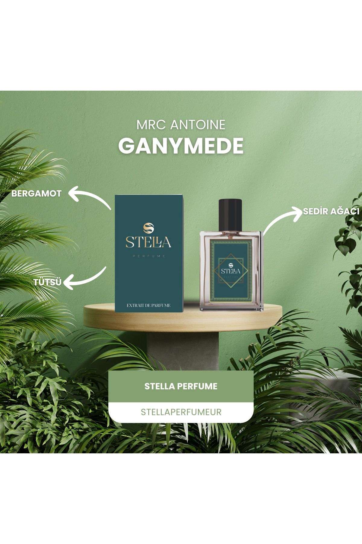 stella perfume Mrc Antoıne Ganymede Bergamot Tütsü Sedir Ağacı Unisex Parfüm 50 ml