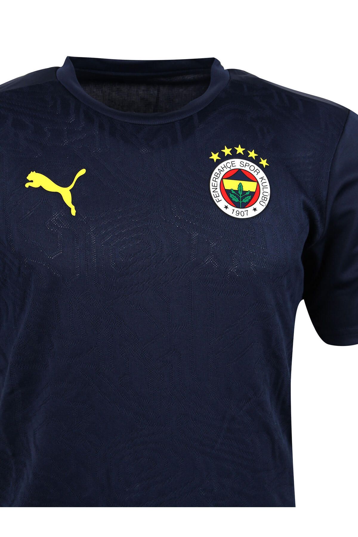 Puma-Fenerbahce 2024/2025 Ein Team-Fußballer-Trainings-T-Shirt 4