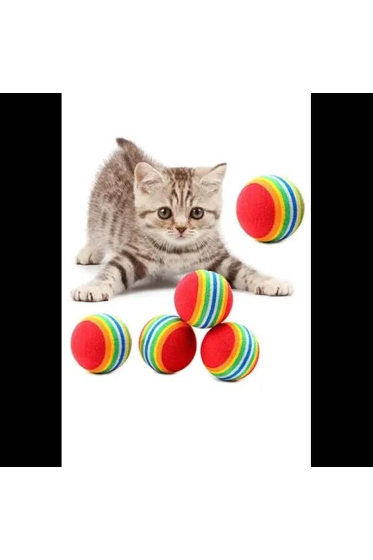 feifei Sünger Kedi Köpek Çiğneme Ve Oyun Topu 4 Adet