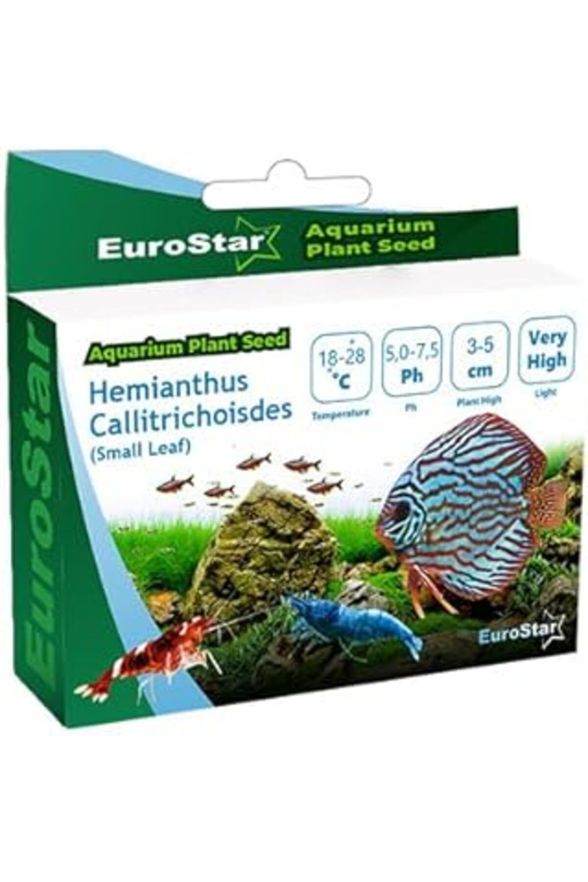 Pazarcan Eurostar Hemianthus Callitrichoides Akvaryum Bitkisi Tohumu