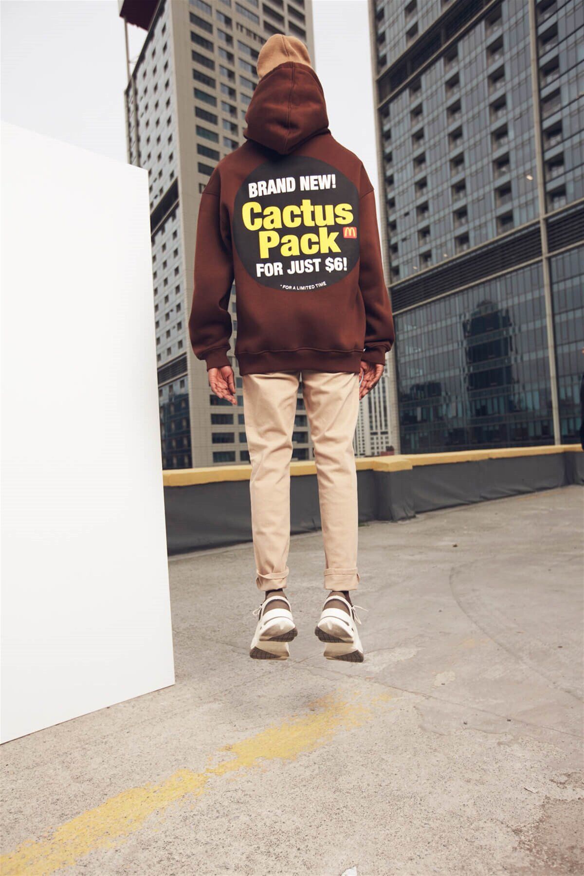 Trendiz-سويت شيرت بغطاء للرأس بني للجنسين من Cactus Pack 6