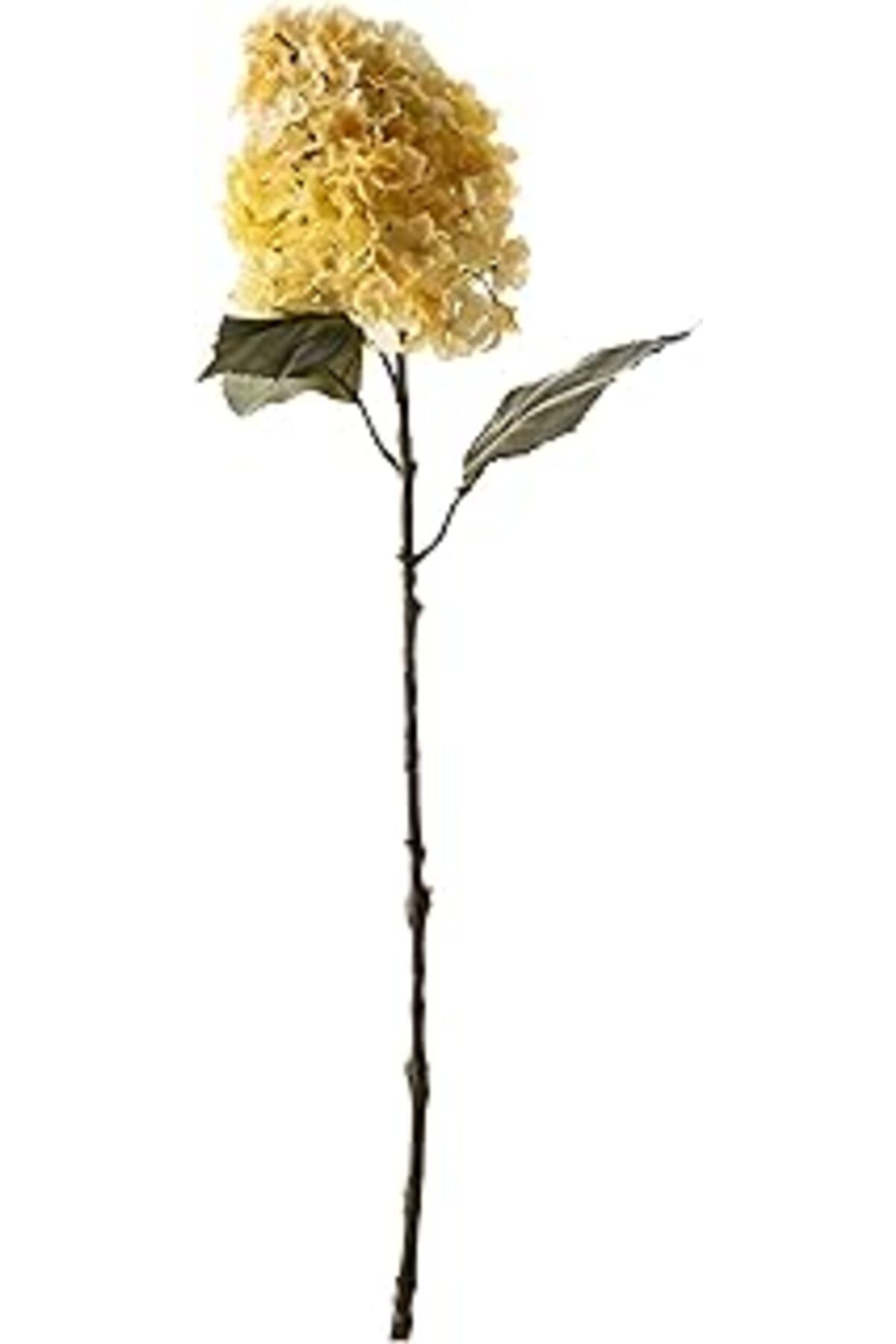 Hepta Collection Ortanca Kurutulmuş Çiçek Beyaz 84 Cm