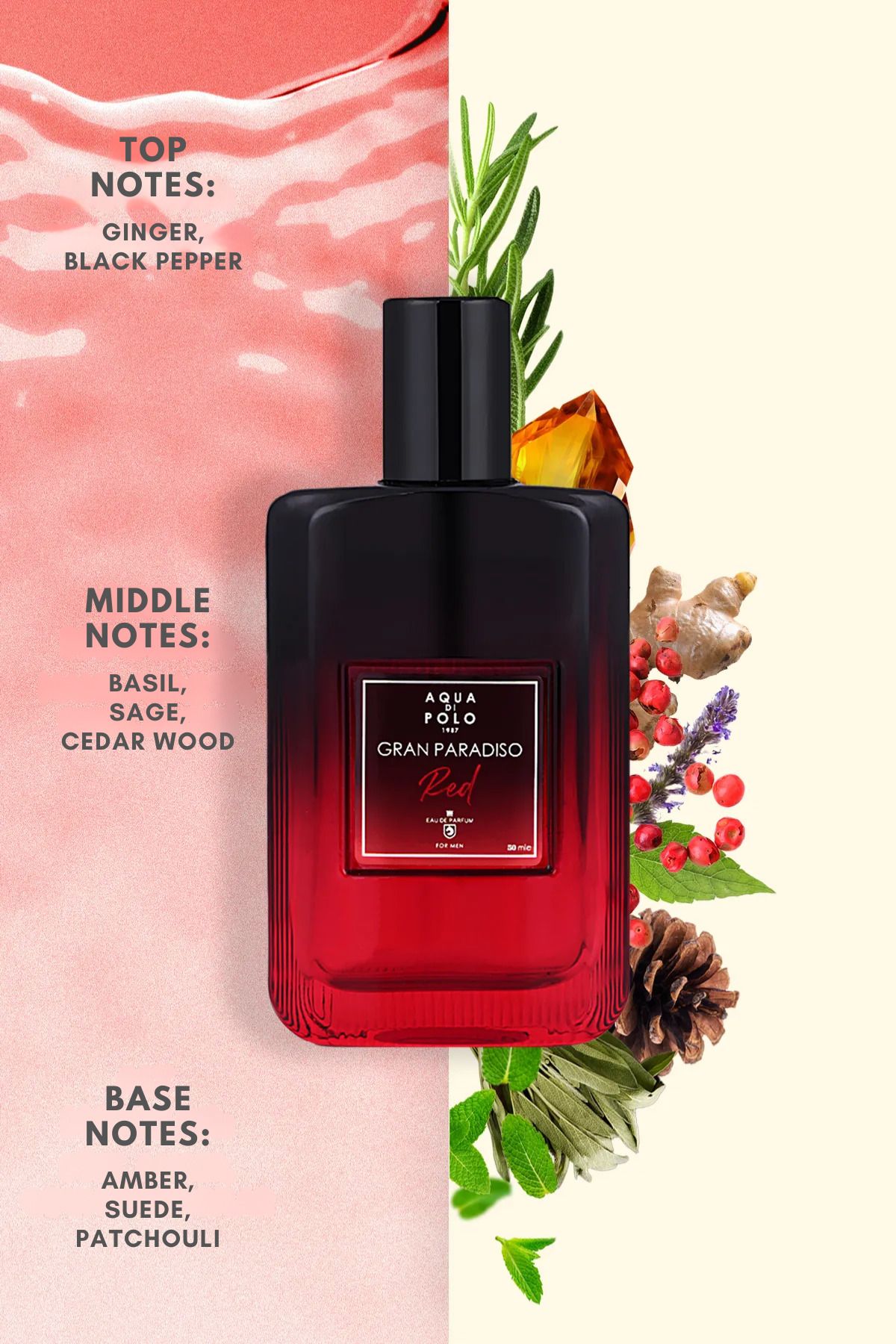 Aqua Di Polo 1987 عطر مردانه گران پارادیزو قرمز با حجم ۵۰ میلی‌لیتر