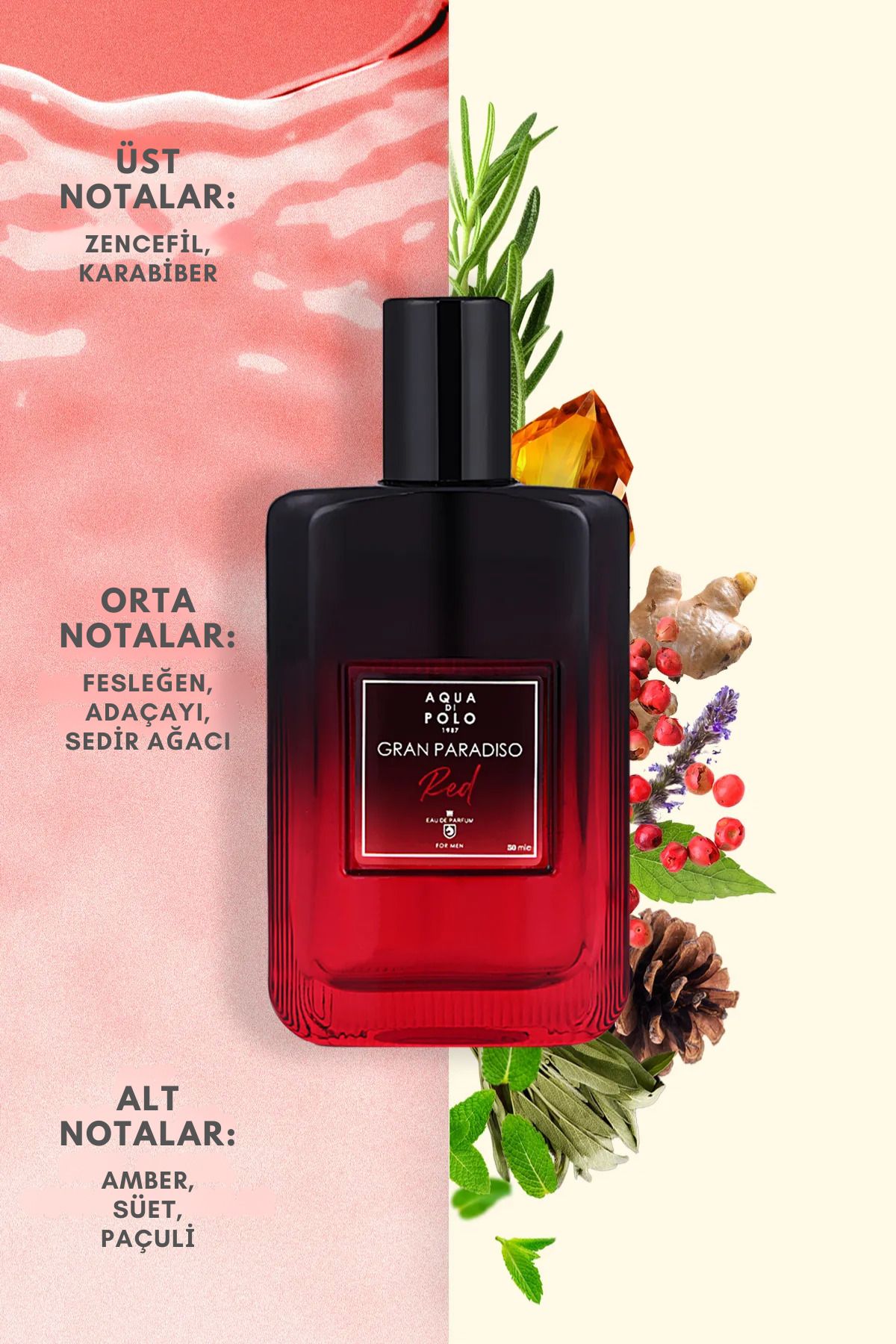Aqua Di Polo 1987 عطر مردانه گران پارادیزو قرمز با حجم ۵۰ میلی‌لیتر