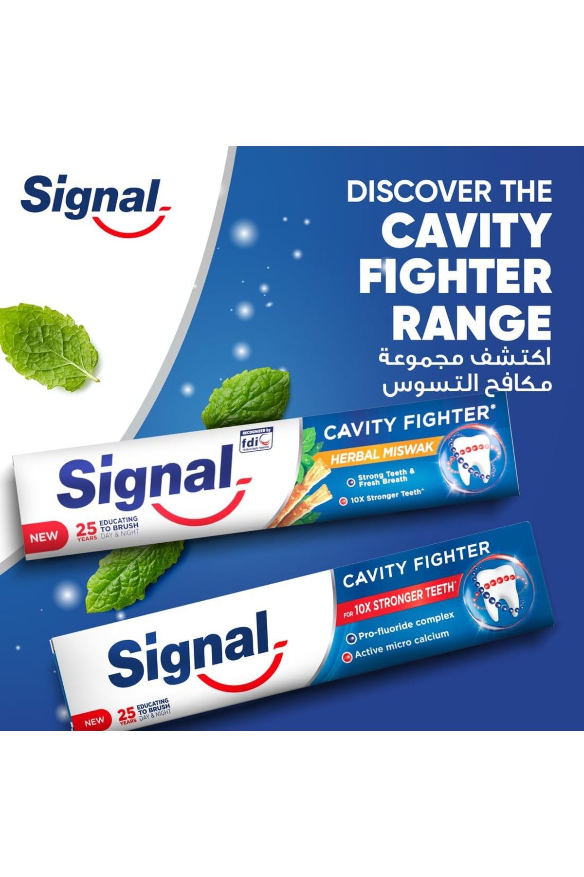 Signal-معجون أسنان مكافح التسوس 120 مل 13