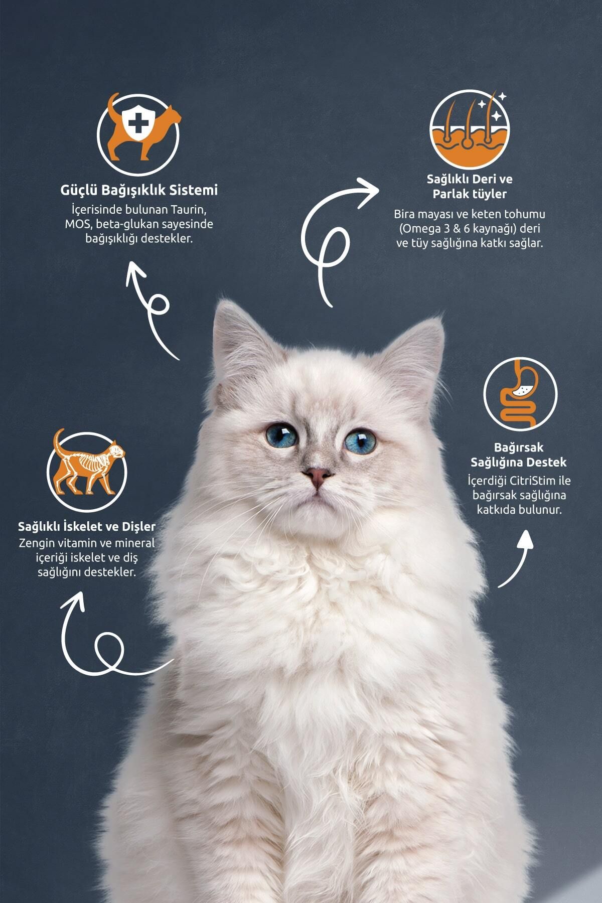Somonlu Kısırlaştırılmış Kedi Maması 2 Kg