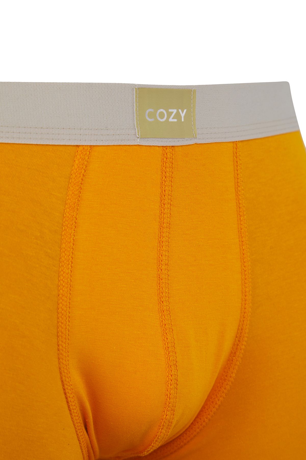 Trendyol Collection-Multicolored Pack of 4 Basic Text Luxury Gather Soft Perfumed Boxers 3