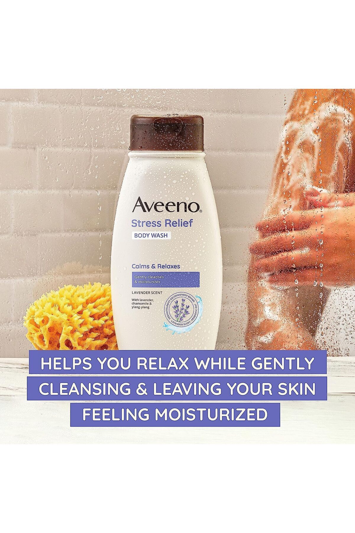 AVEENO-Stress Relief Body Wash with Oat & Lavender, Sensitive Skin, Moisturizing, Sulfate-Free, 18 fl. oz 3