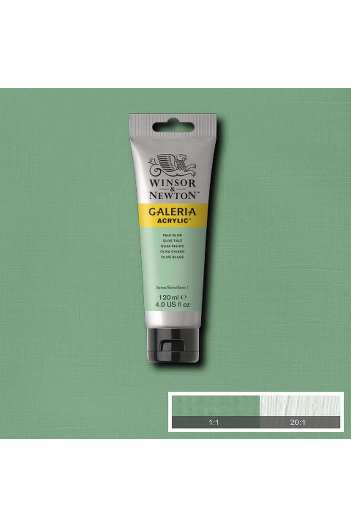 Winsor Newton Winsor & Newton Galeria Akrilik Boya 120ml Pale Olive 435