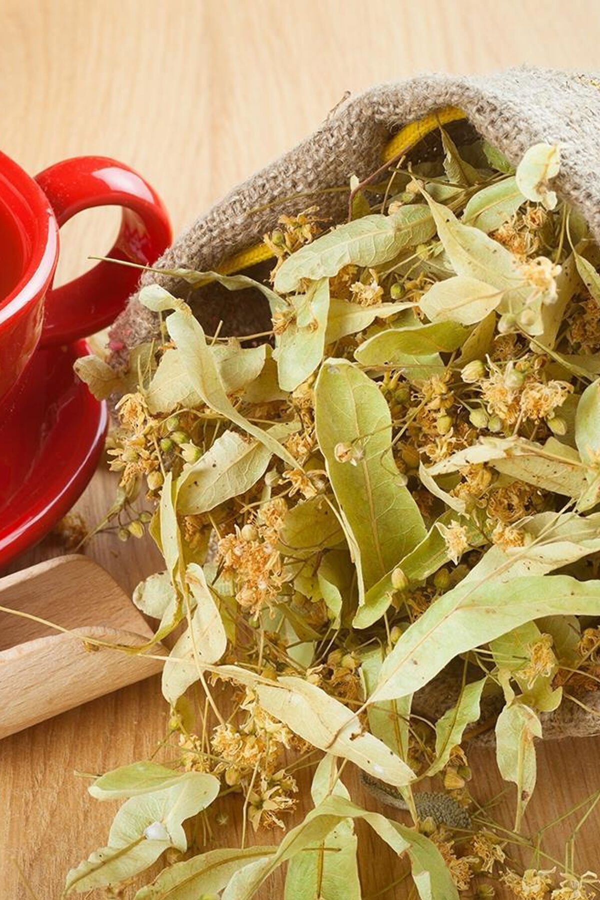 Kuzeylina Ihlamur 1 kg (1000 gr) - ( Doğal Kurutulmuş, Elenmiş, Katkısız )