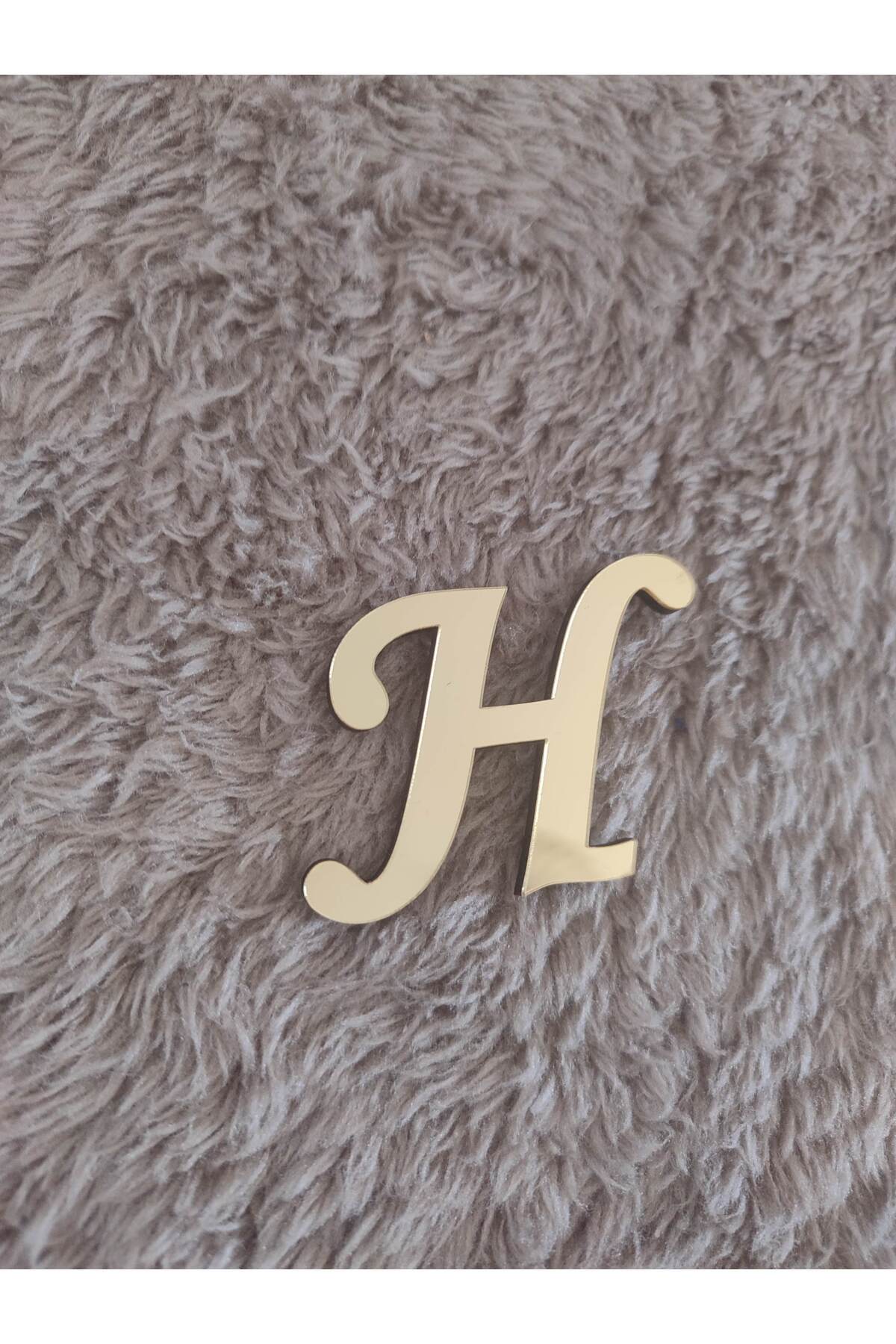 BilgeCe hoMe Pleksi Harf, Pleksi H harfi, Plexi H harfi