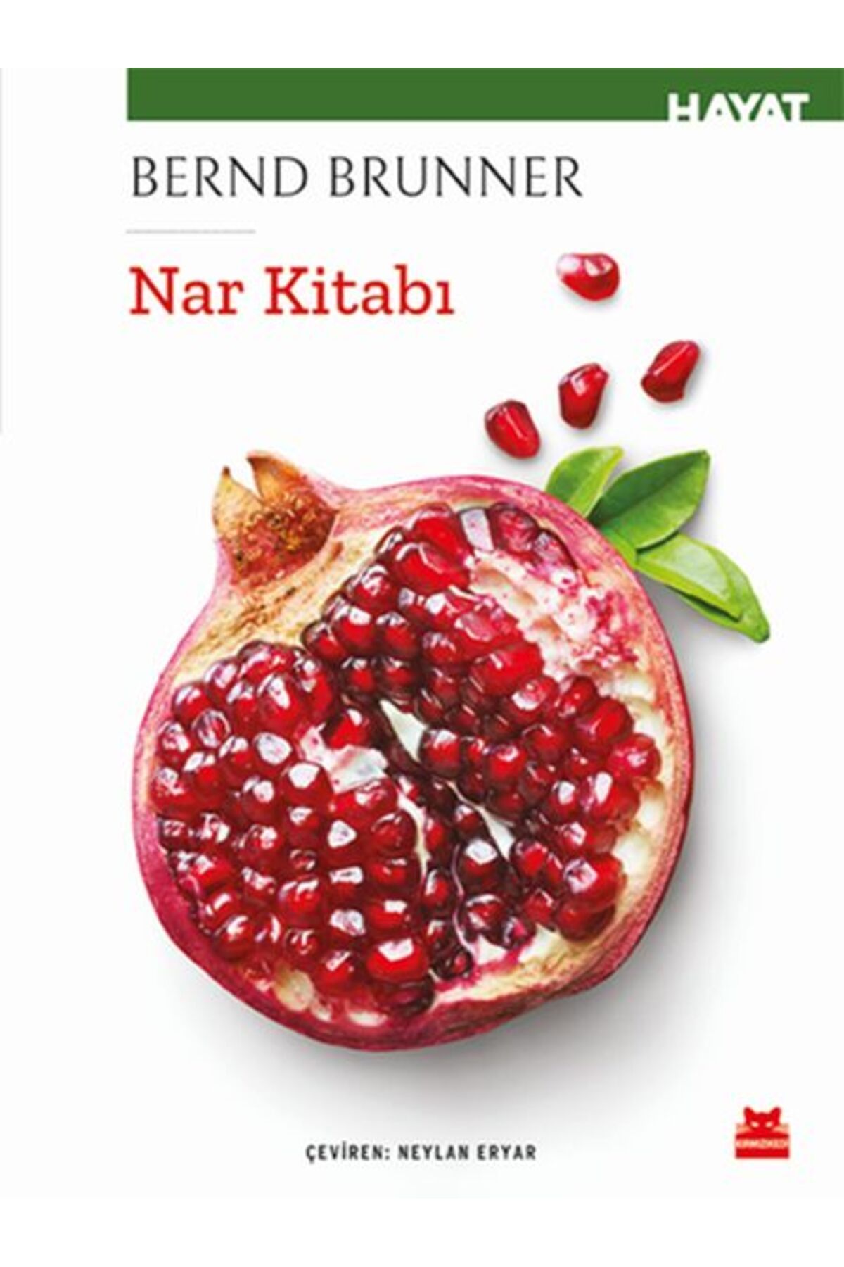 Kırmızı Kedi Çocuk Nar Kitabı