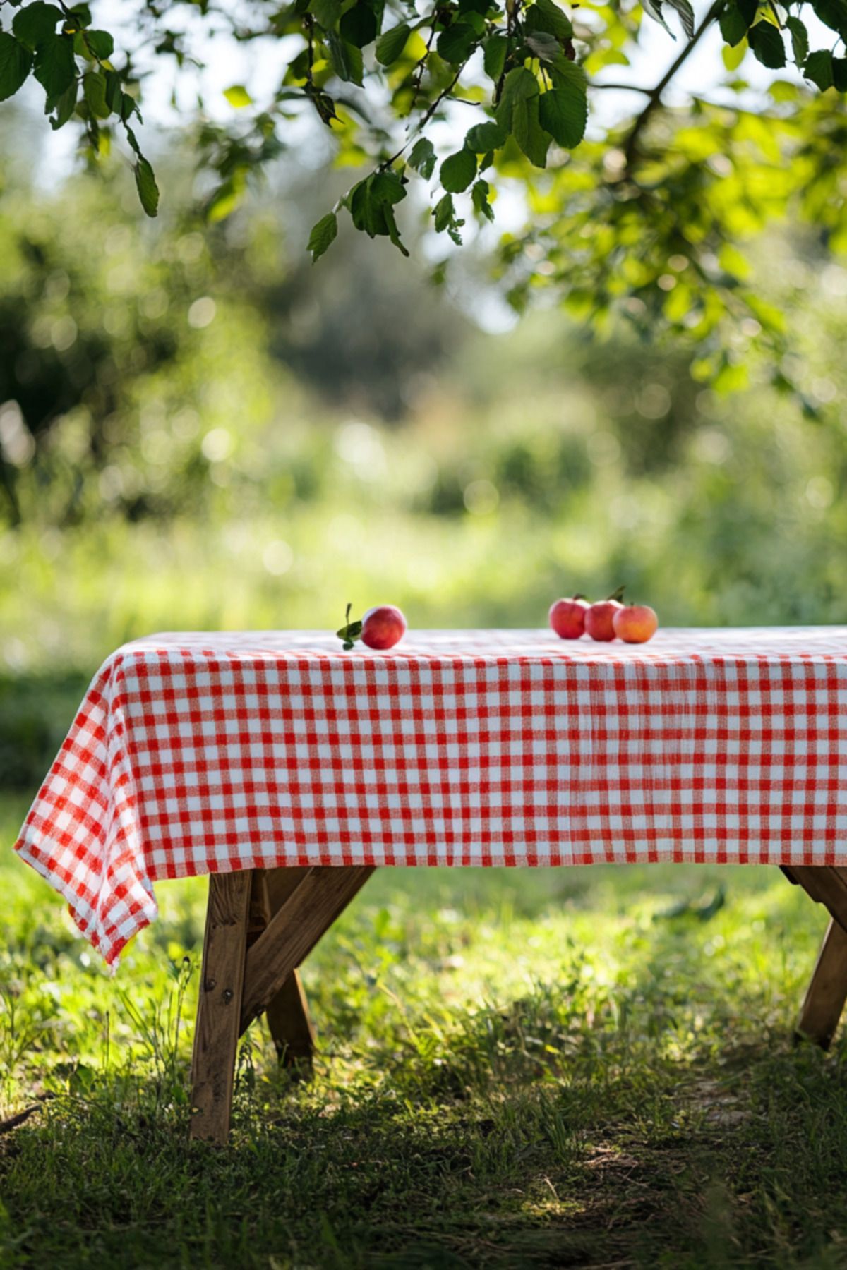 Paris Home-Checkered Tablecloth Picnic Cloth Table Cloth Multi-Purpose Table Cloth 2