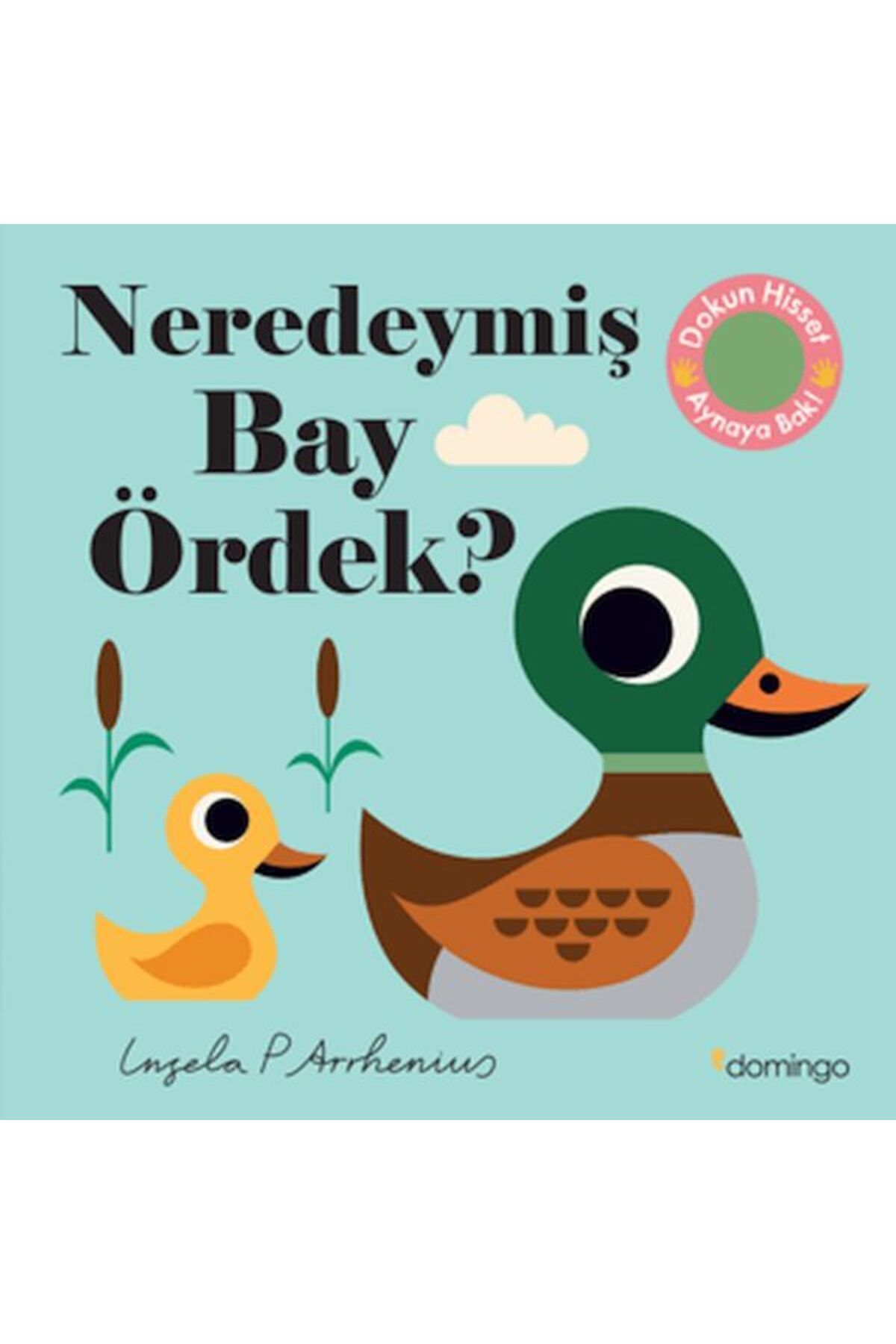 Destek Yayınları Neredeymiş Bay Ördek?