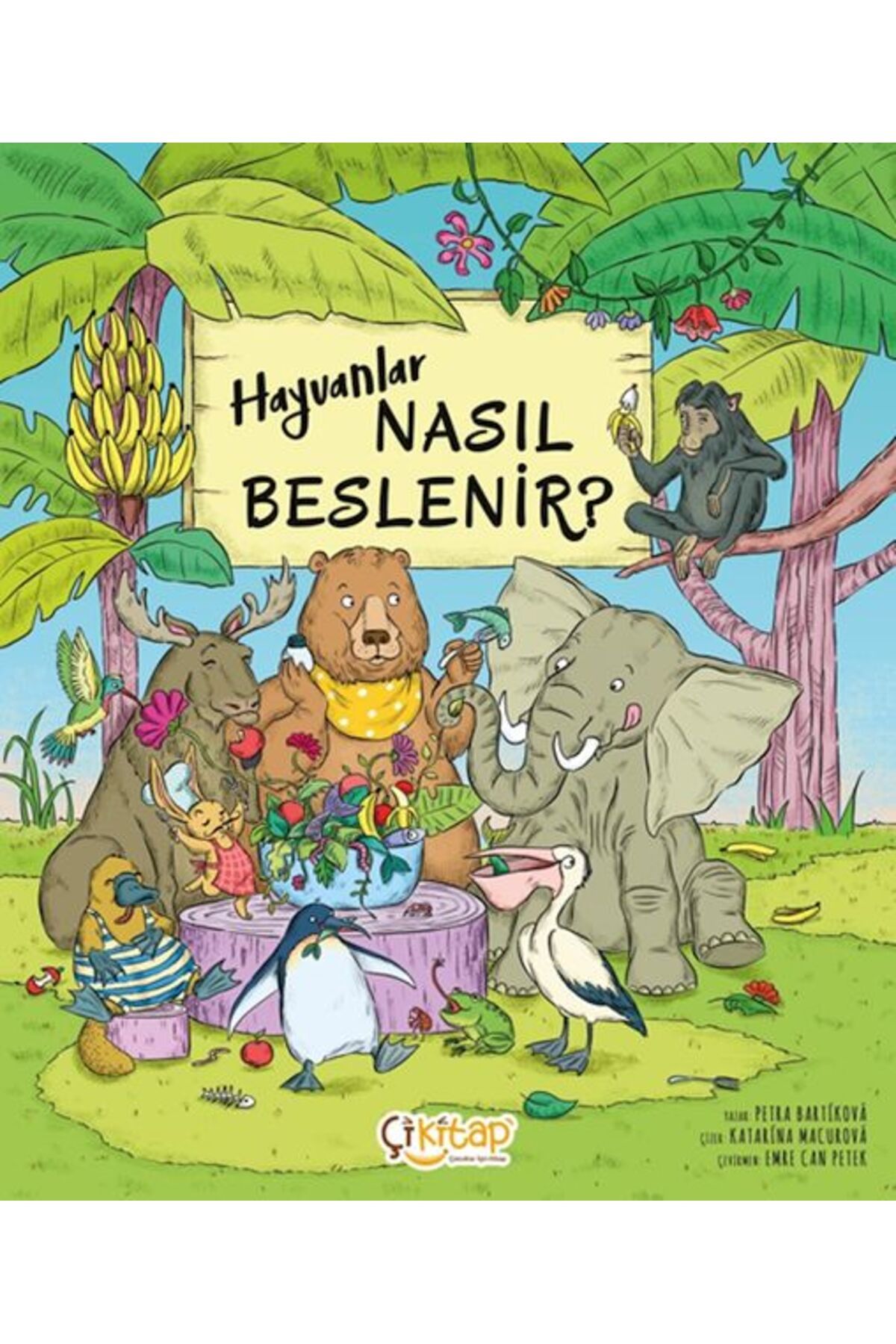 Destek Yayınları Hayvanlar Nasıl Beslenir ?