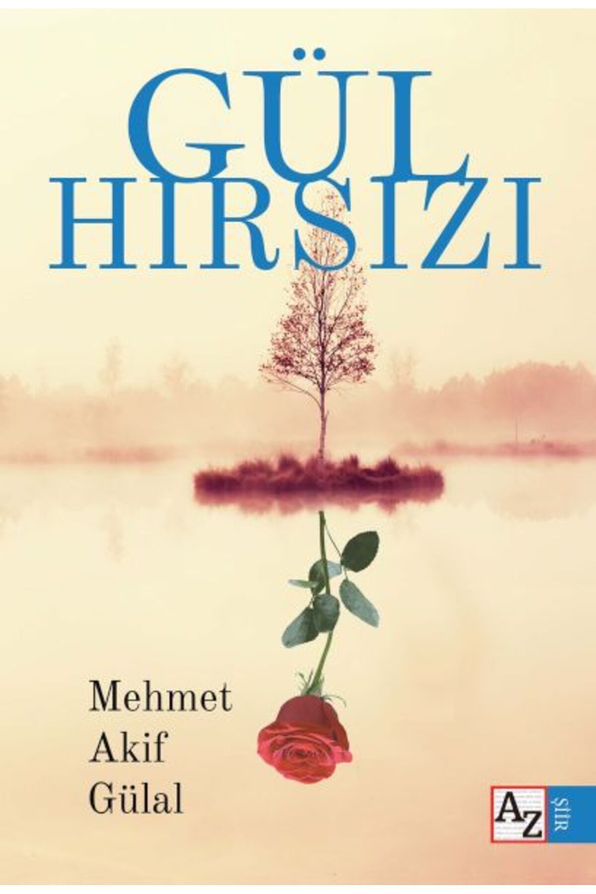 Destek Yayınları Gül Hırsızı