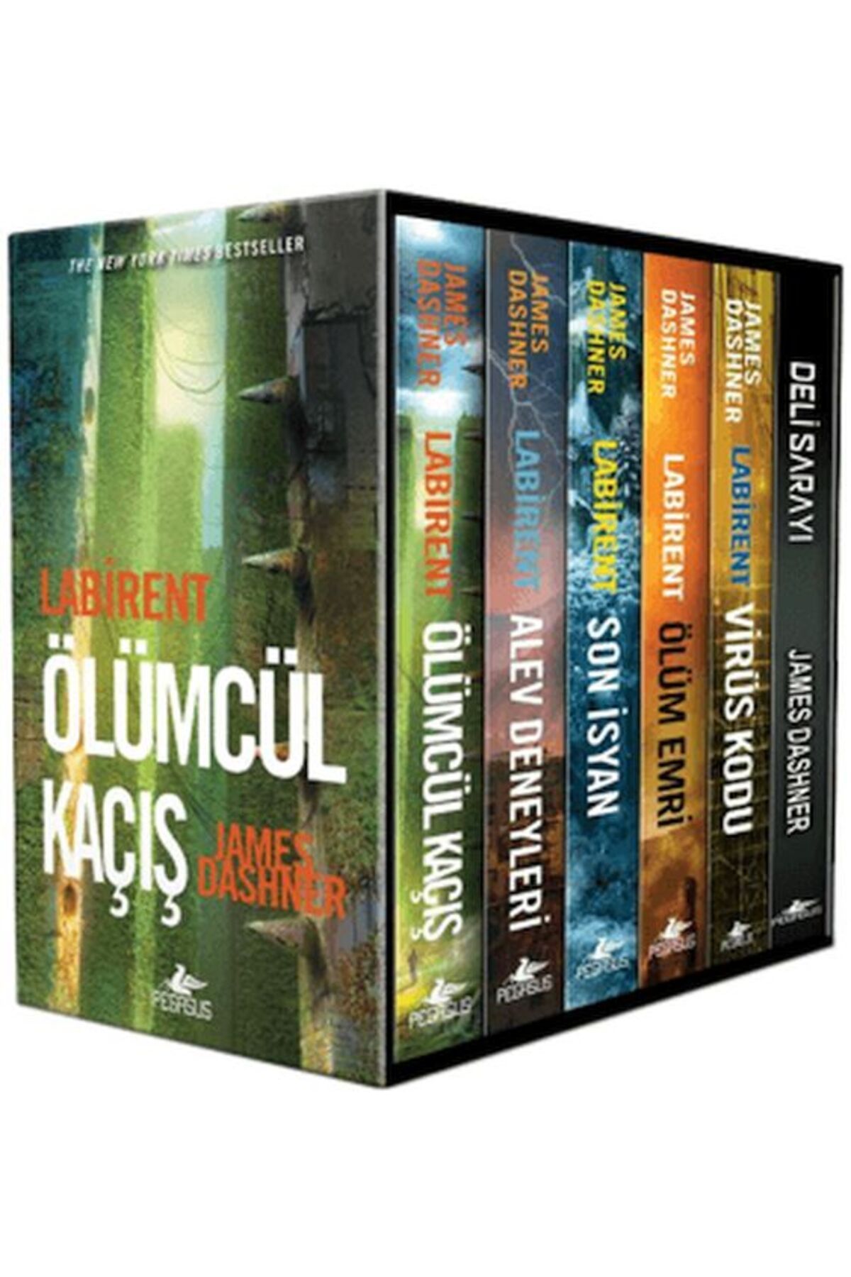 Destek Yayınları Labirent Serisi Kutulu Set (6 Kitap)