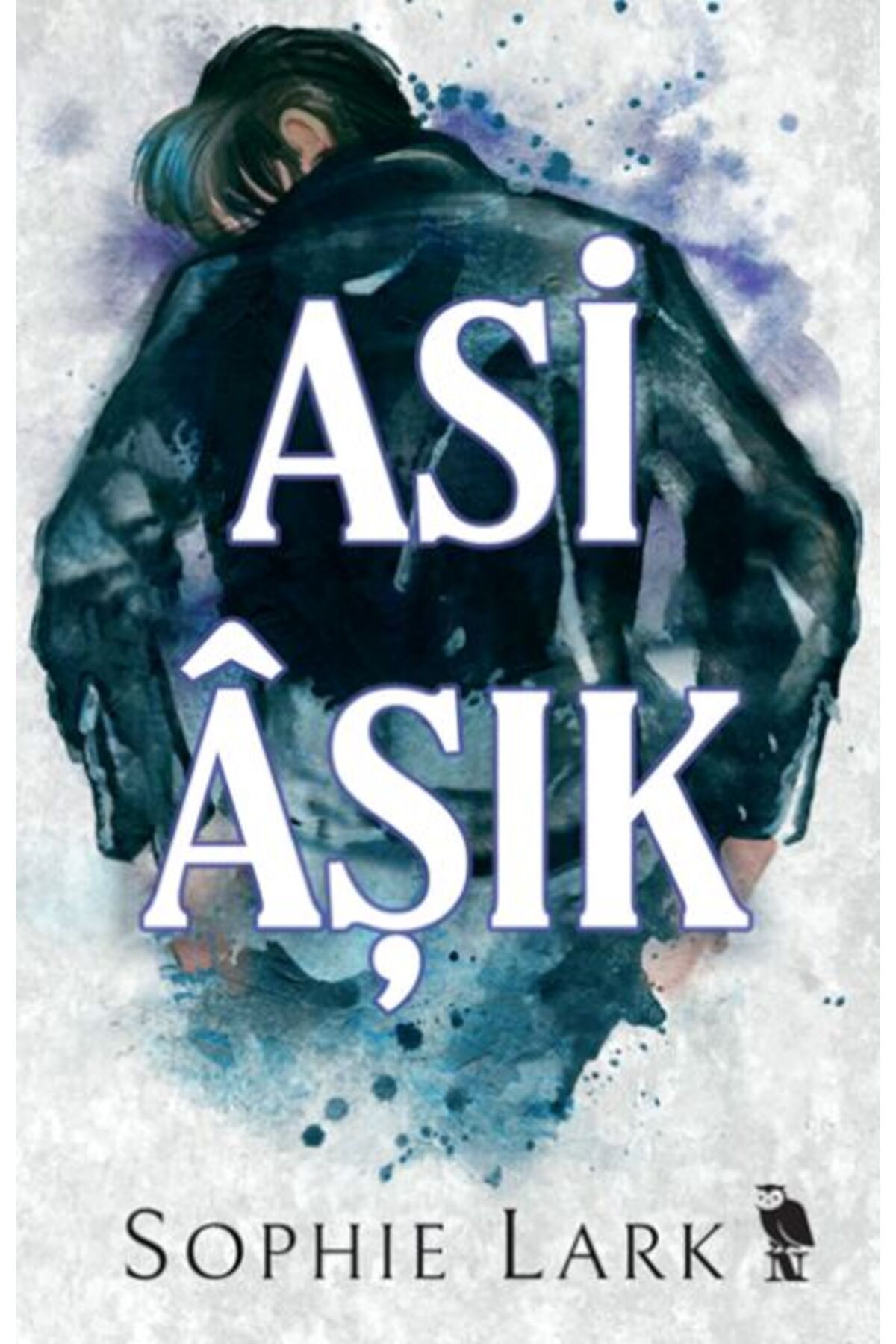 Destek Yayınları Asi Âşık