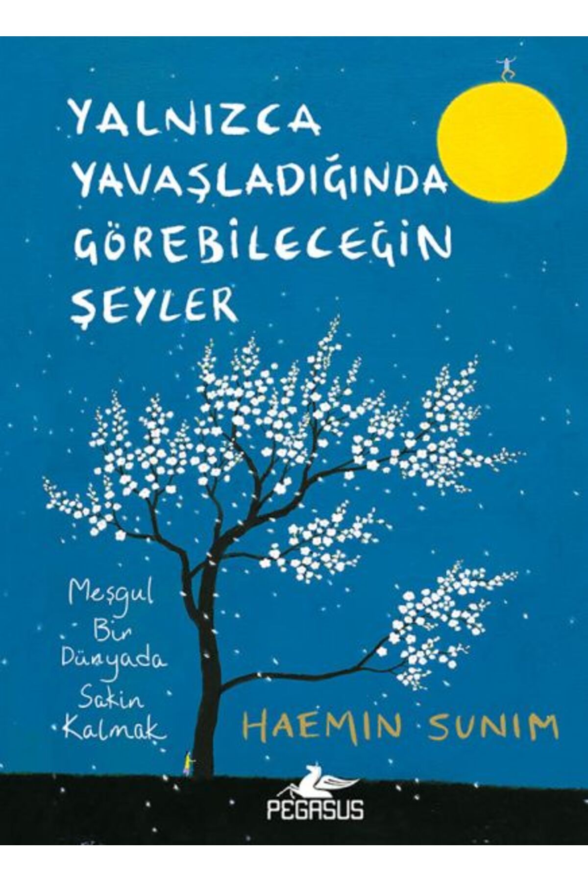 Destek Yayınları Yalnızca Yavaşladığında Görebileceğin Şeyler (Ciltli)