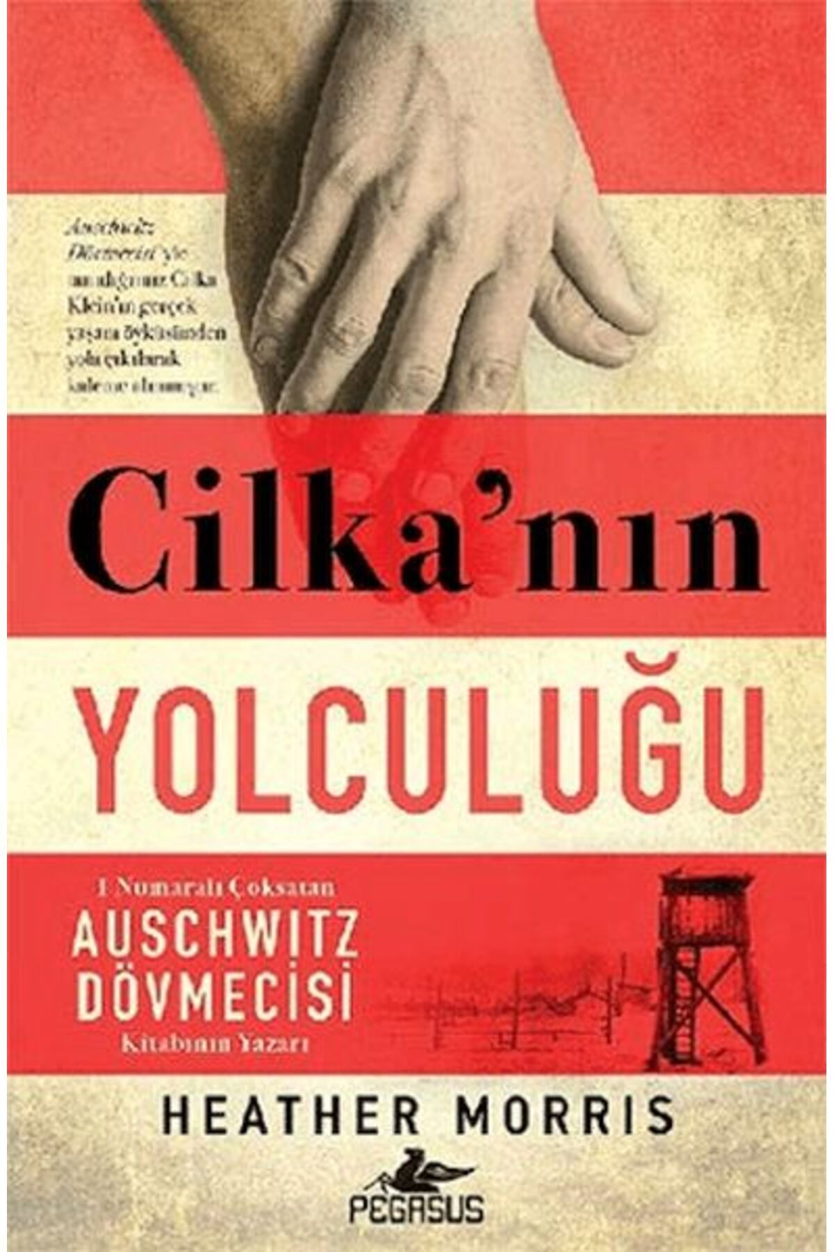 Destek Yayınları Cilka'nın Yolculuğu