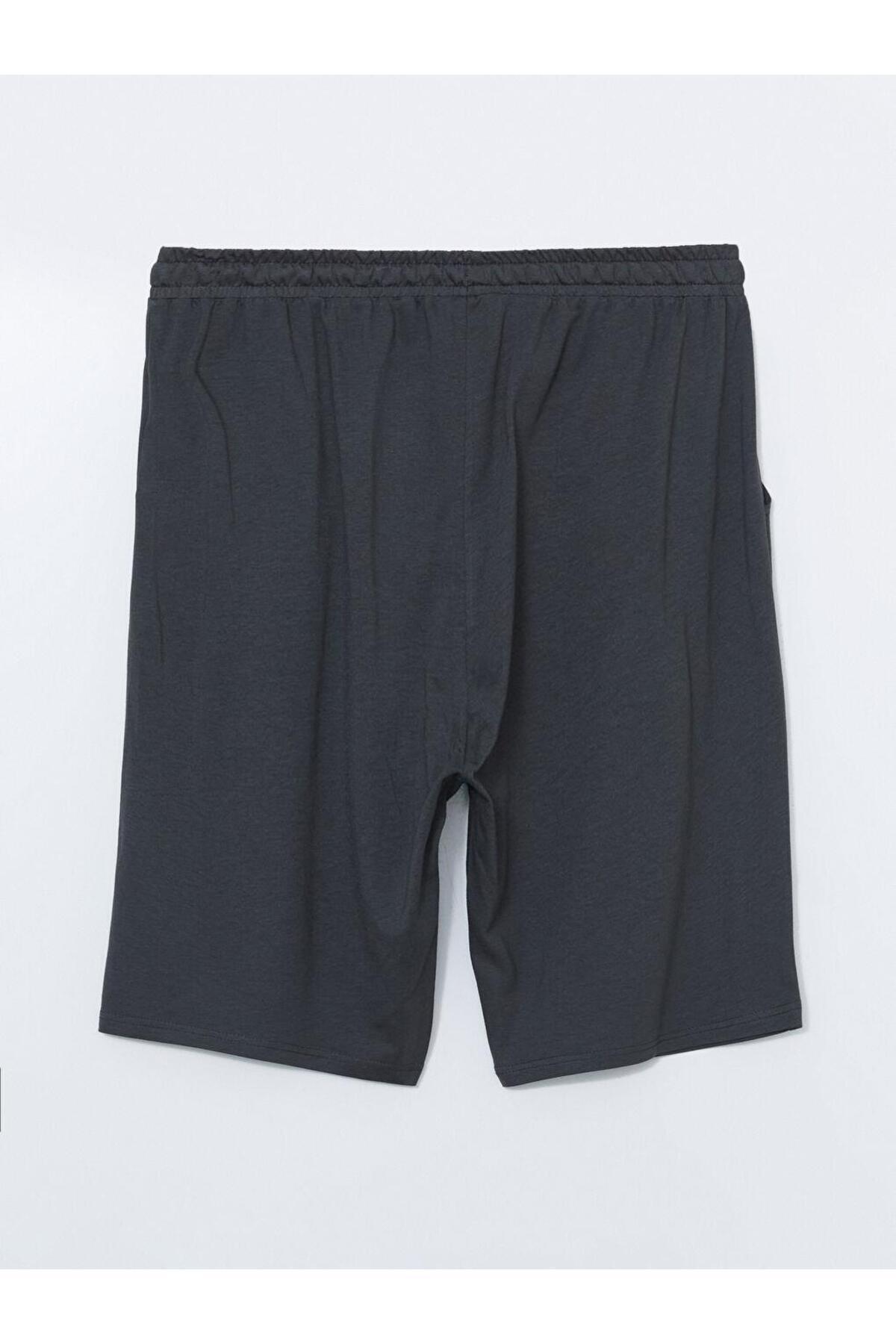 LC Waikiki-Standard Fit Men's Pajama Bottom Shorts 2