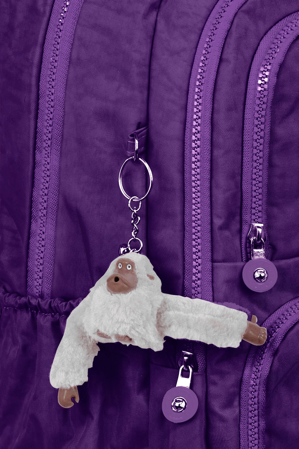 Kingston Hill-Rucsac ușor din țesătură Crinkle - Potrivit pentru școală/utilizare zilnică, impermeabil, cu mai multe compartimente 7