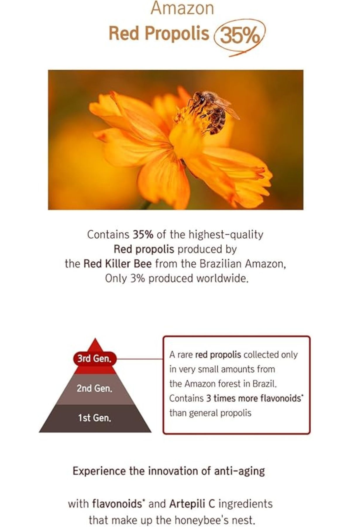 LYAJIN-Bbh Red Propolis Amazon Intensive Care Ampoule 50 ml 5