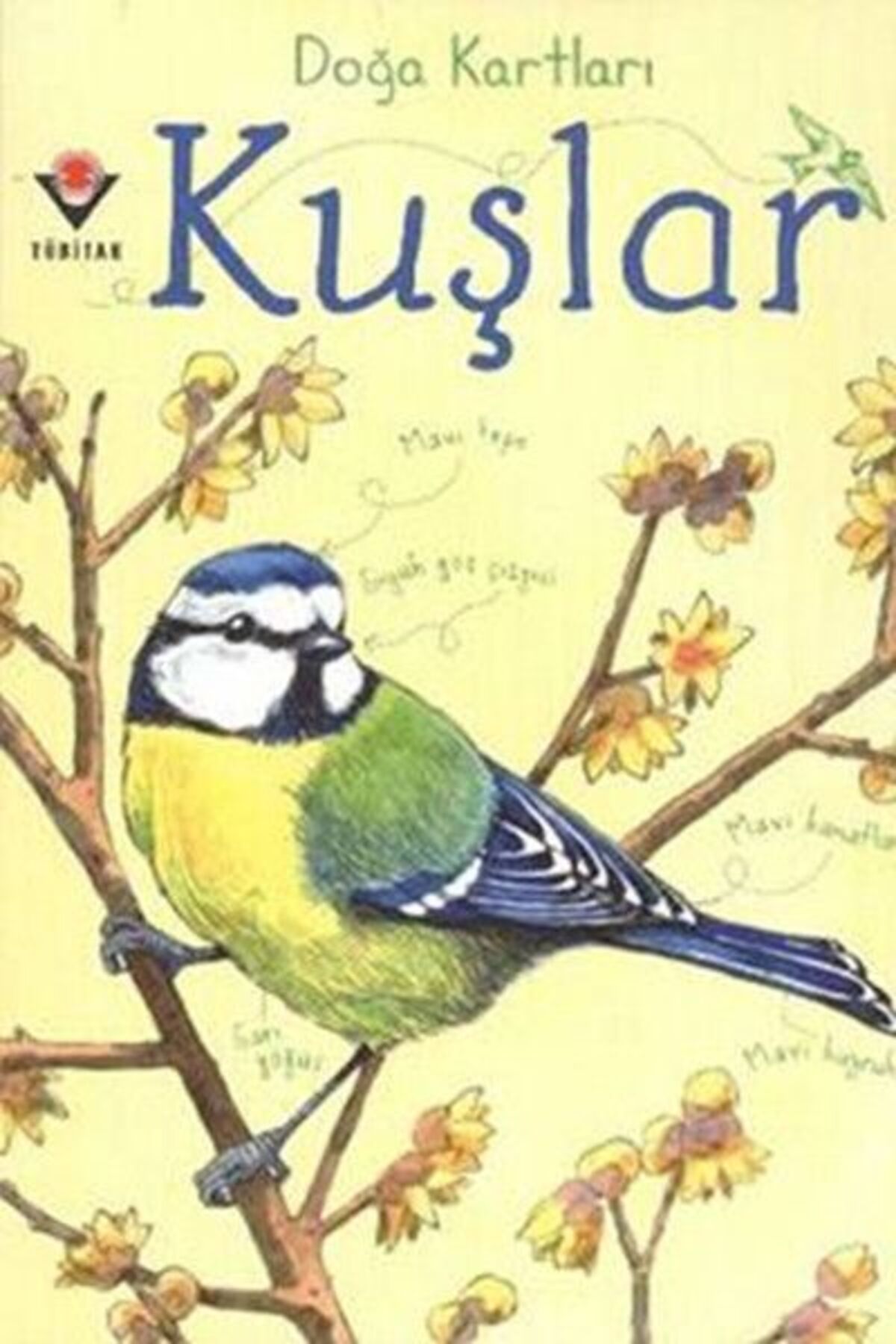 Destek Yayınları Doğa Kartları - Kuşlar