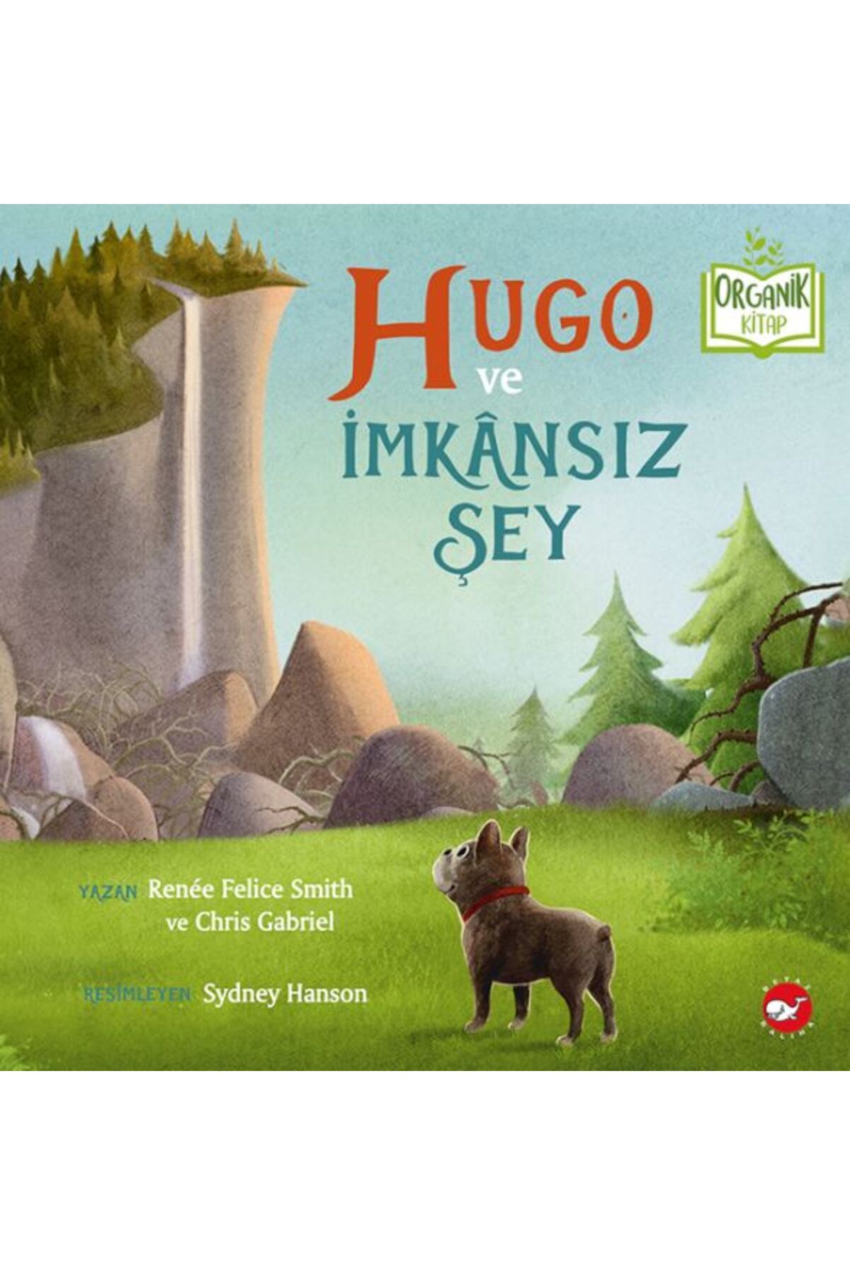 Destek Yayınları Hugo ve İmkânsız Şey - Organik Kitaplar