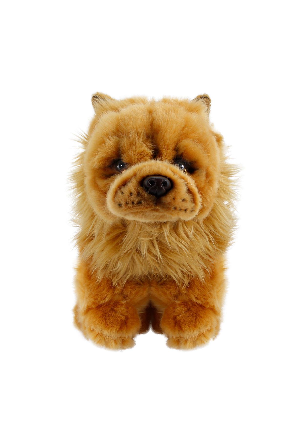Animals Of The World Chow Chow (Çin Aslanı) 28 cm