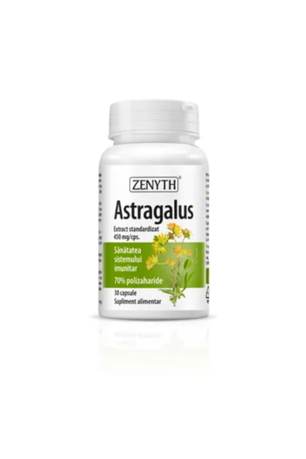 ZENYTH Astragalus 30 Cps - One Size