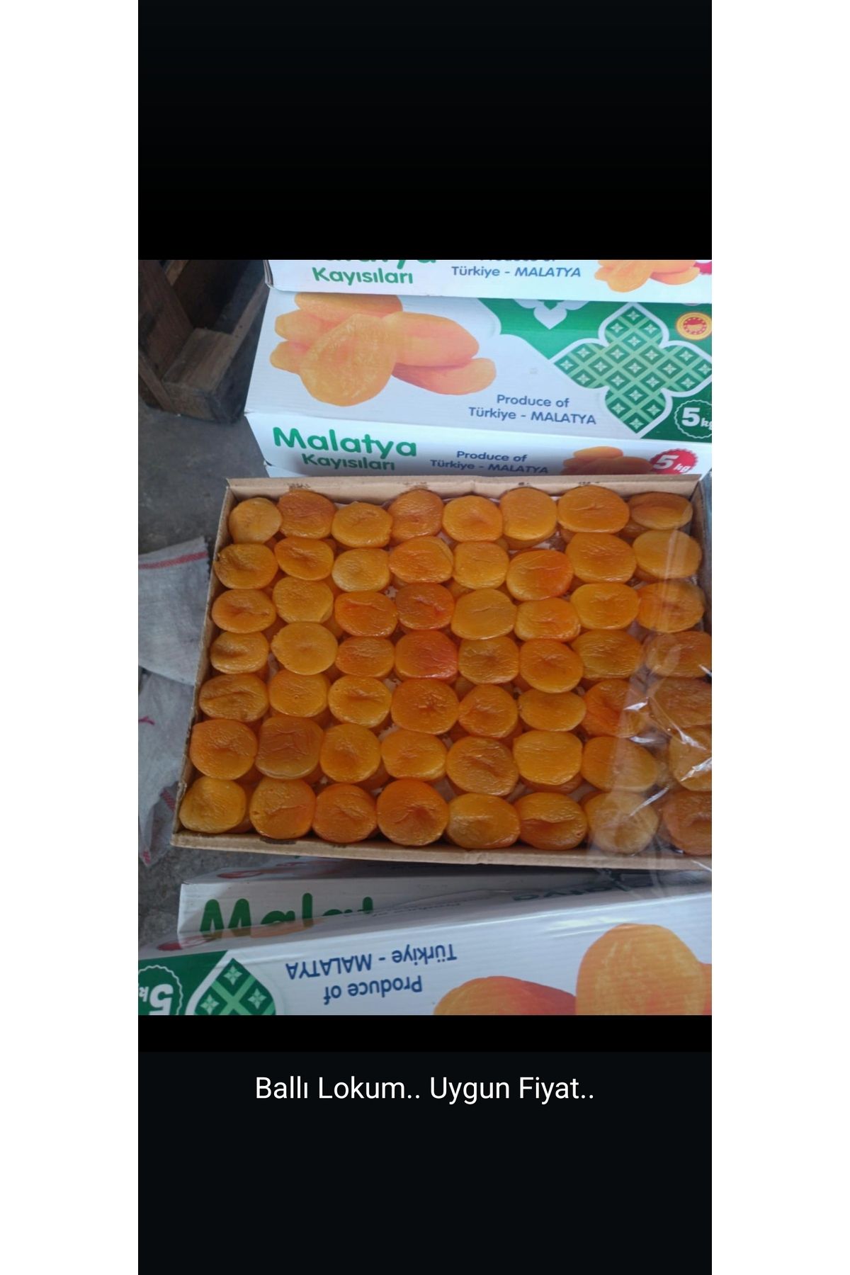 Furkan Aktar Malatya sarı kaysı 1000 gr