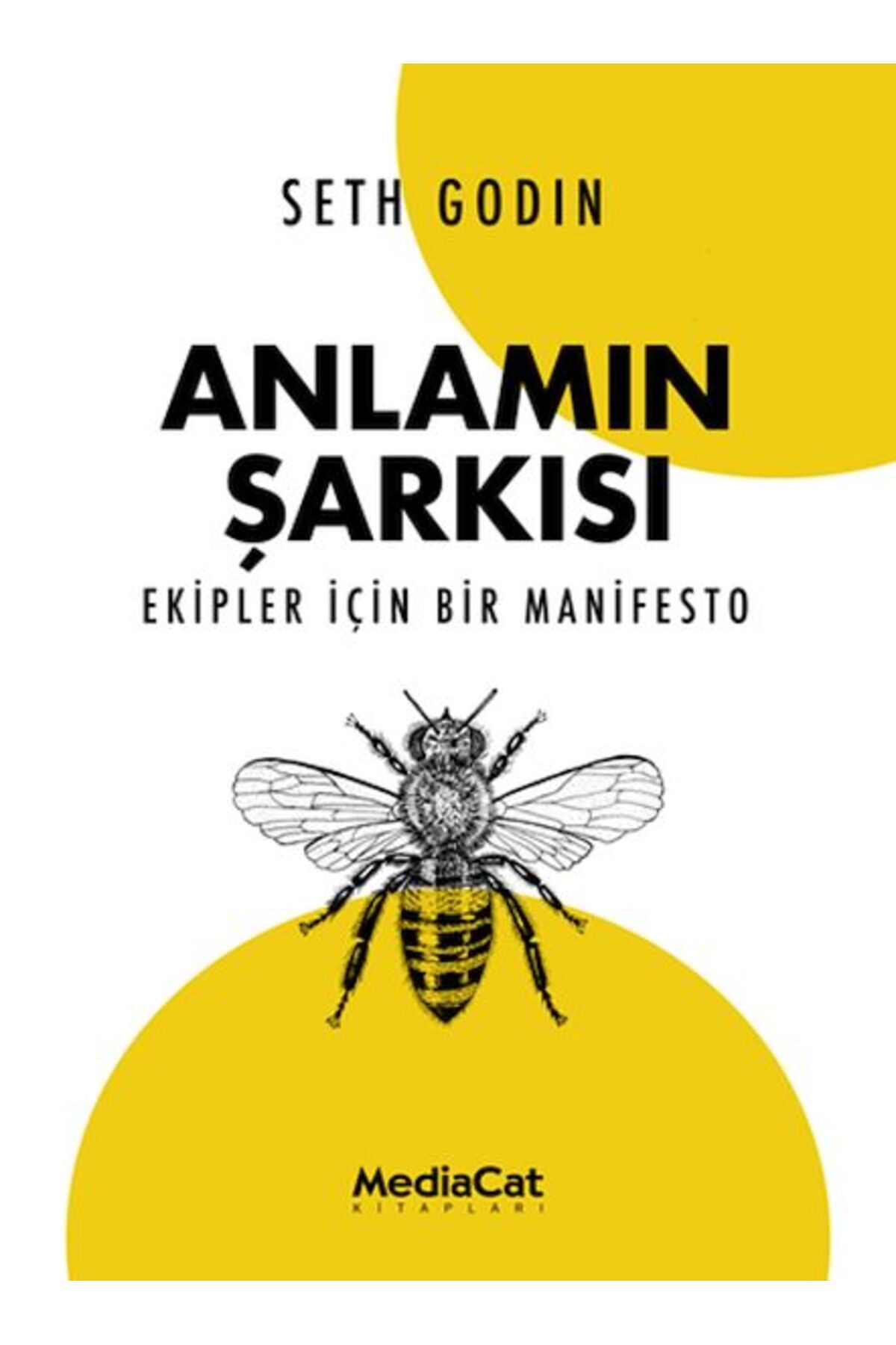 MediaCat Kitapları Anlamın Şarkısı