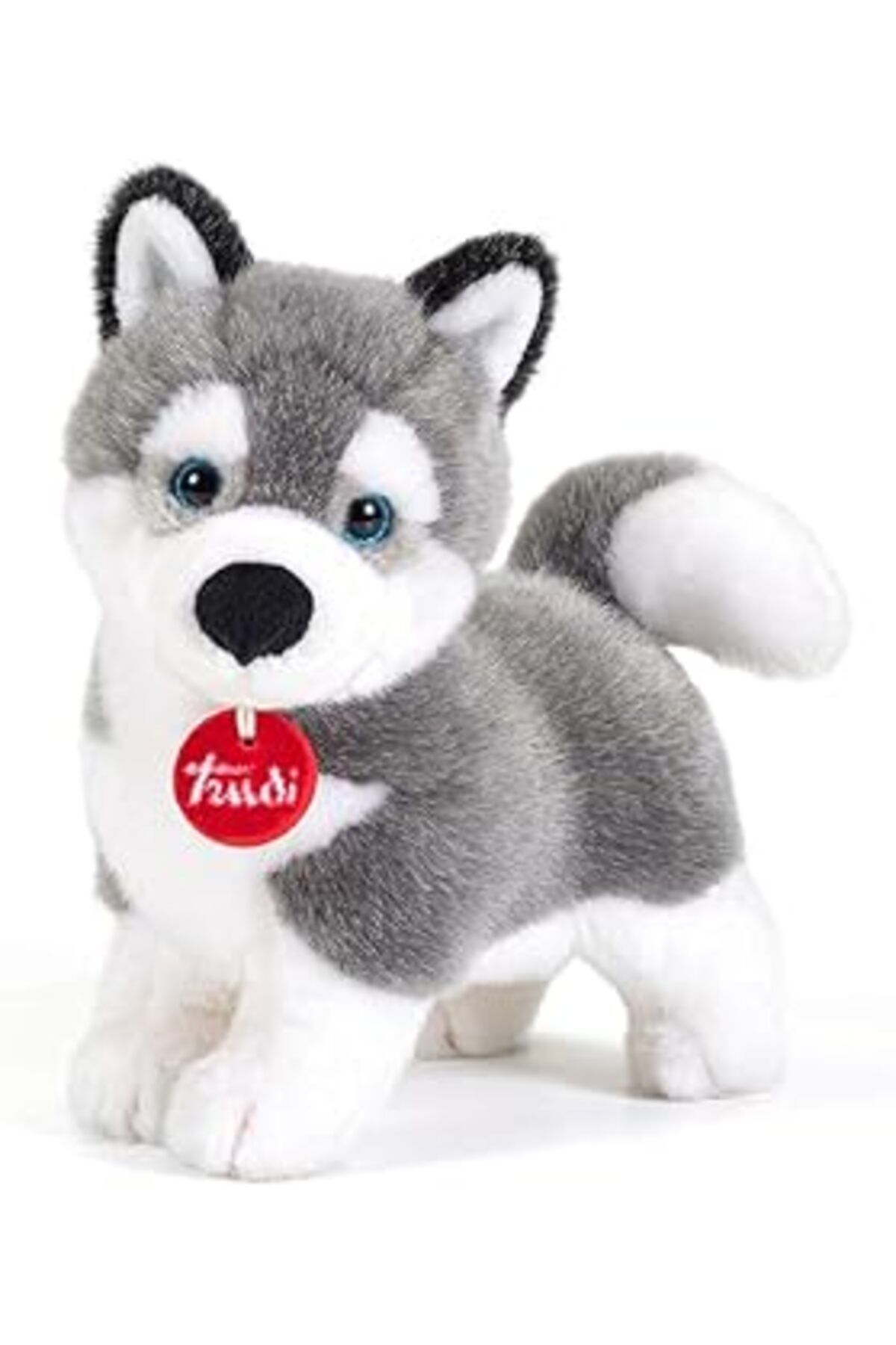 ebadi Trudi 22271 – Husky Marcus