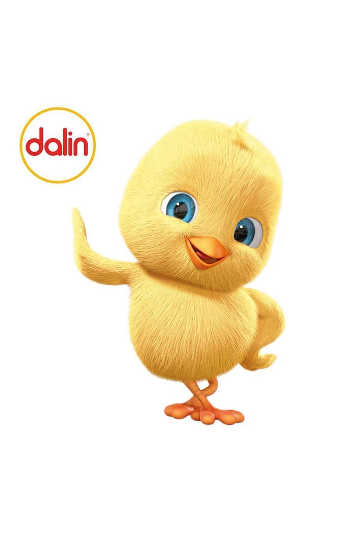 Dalin SIVI ÇAMAŞIR DETERJANI 1500ML DOĞAL SABUNLU 2 ADET fotoğrafı 4 (önizleme)