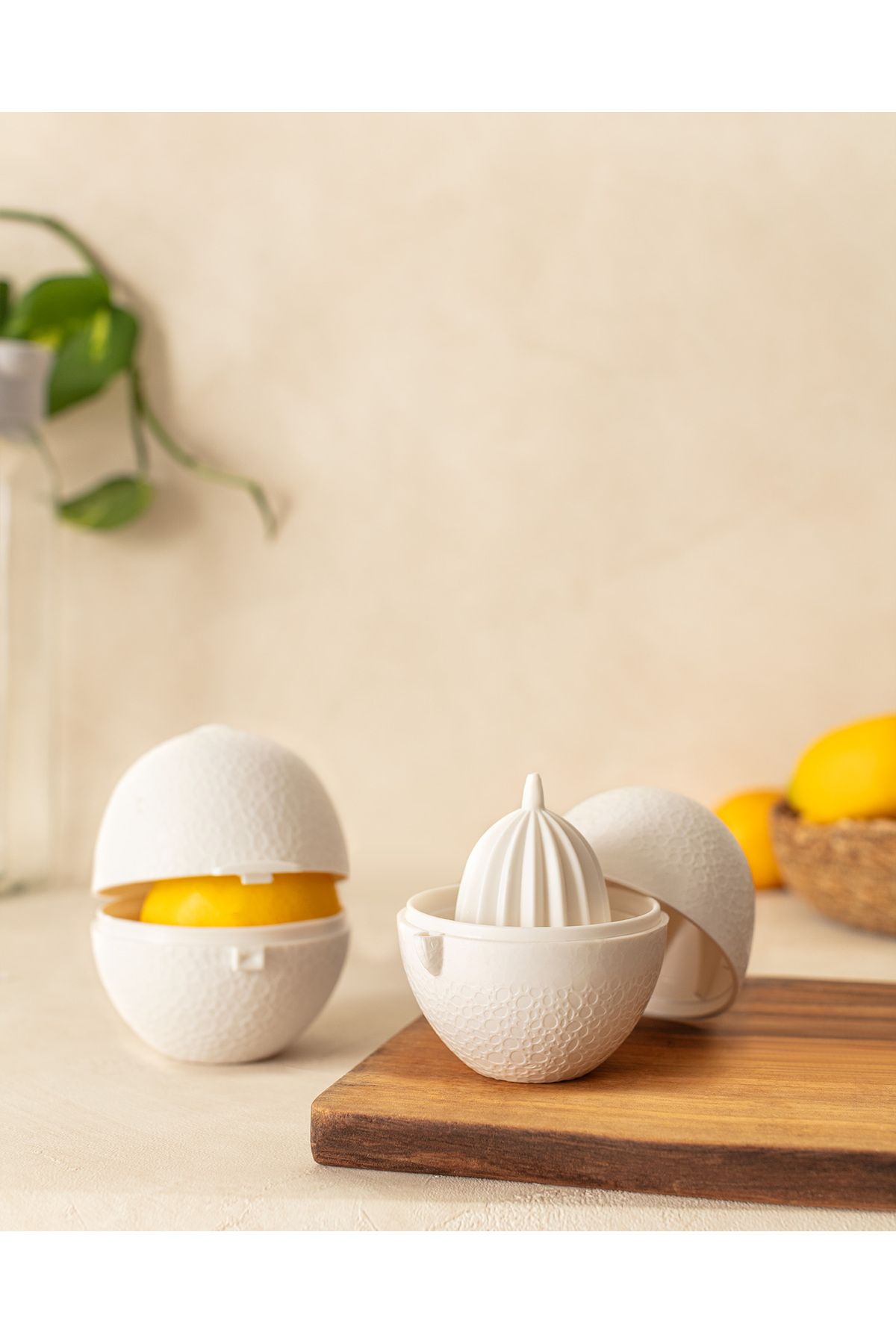 Madame Coco-Justine Lemon Storage Container and Lemon Squeezer 2