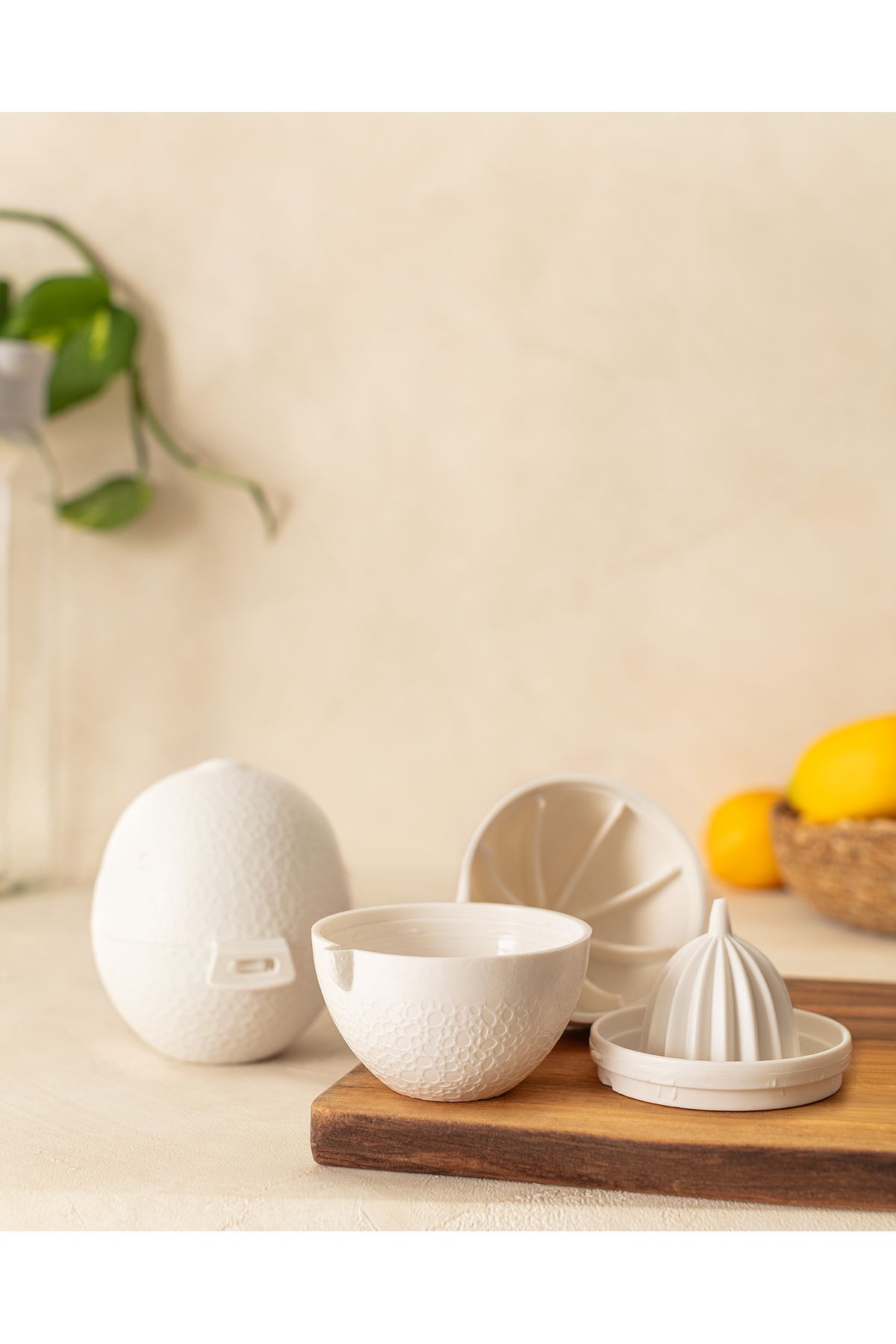 Madame Coco-Justine Lemon Storage Container and Lemon Squeezer 3