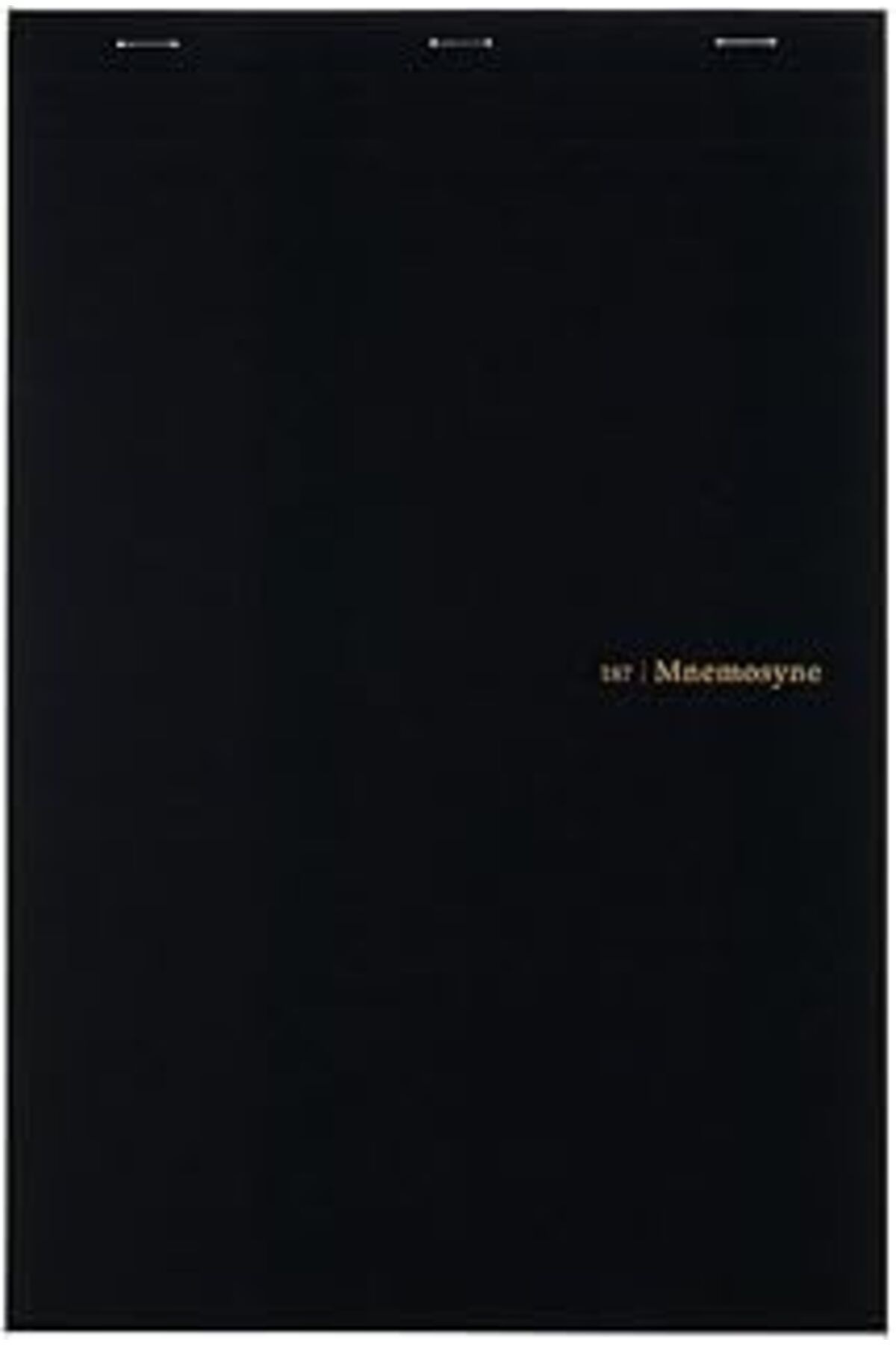 NZM TİCARET Maruman 1 Ciltli Yönetici Defter (N187A), 11,7 Inç X 8,27 Inç (Kare)