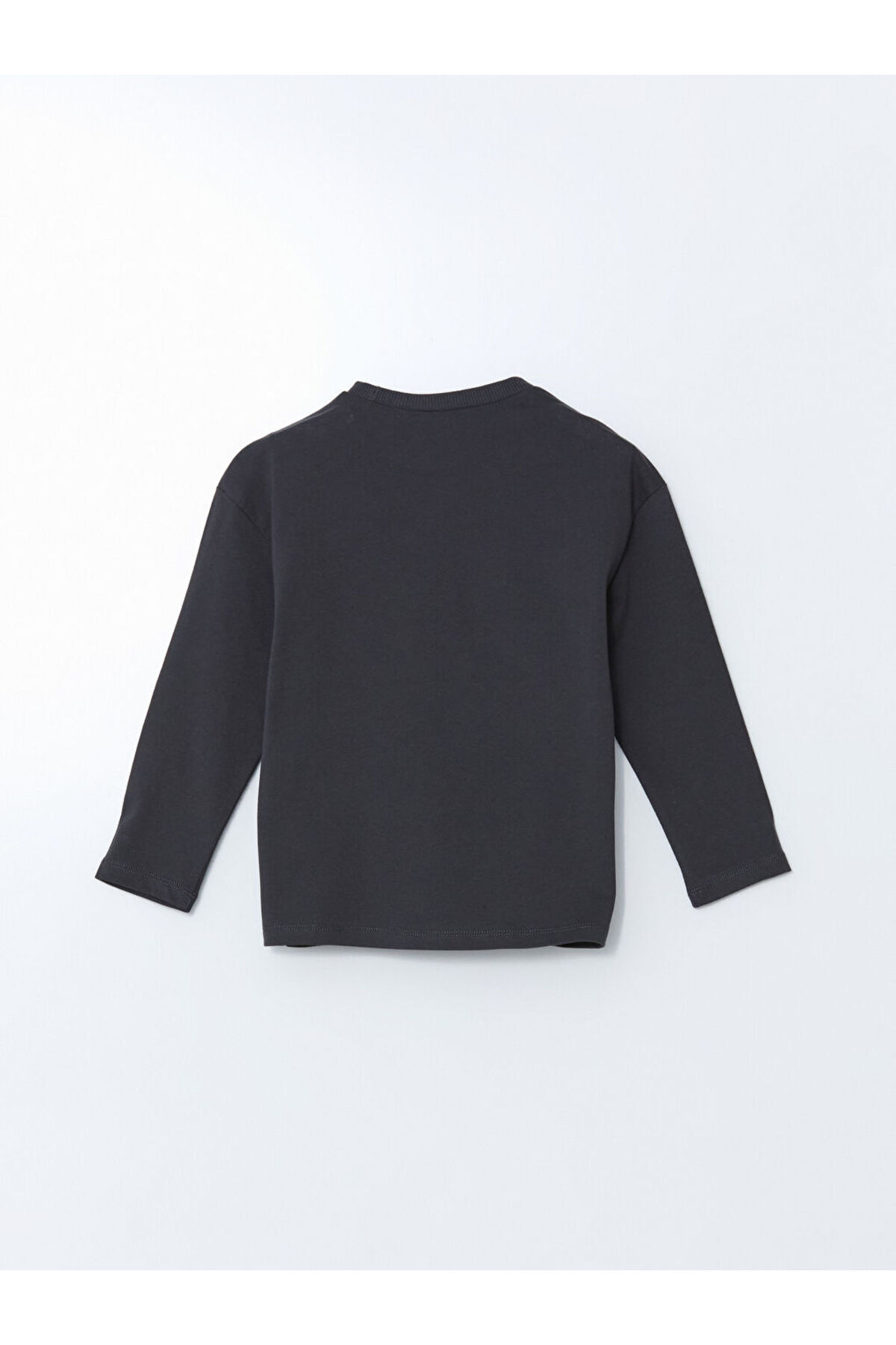LC Waikiki-Lcw Crew Neck Printed Boys' T-Shirt 3